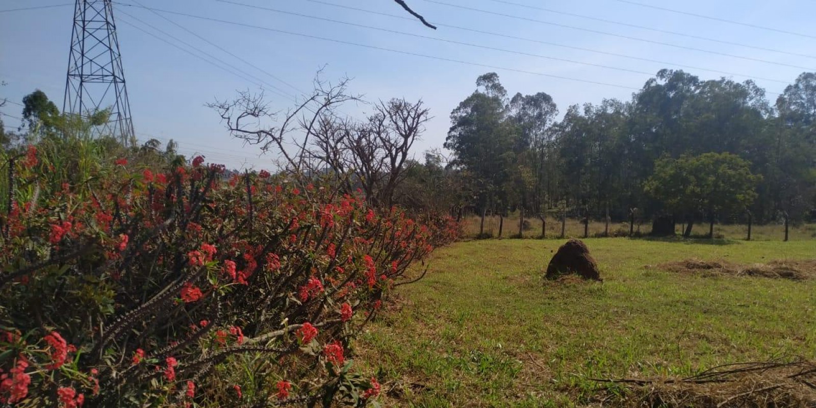 Vende se Chácara no Greenvalle em Botucatu SP