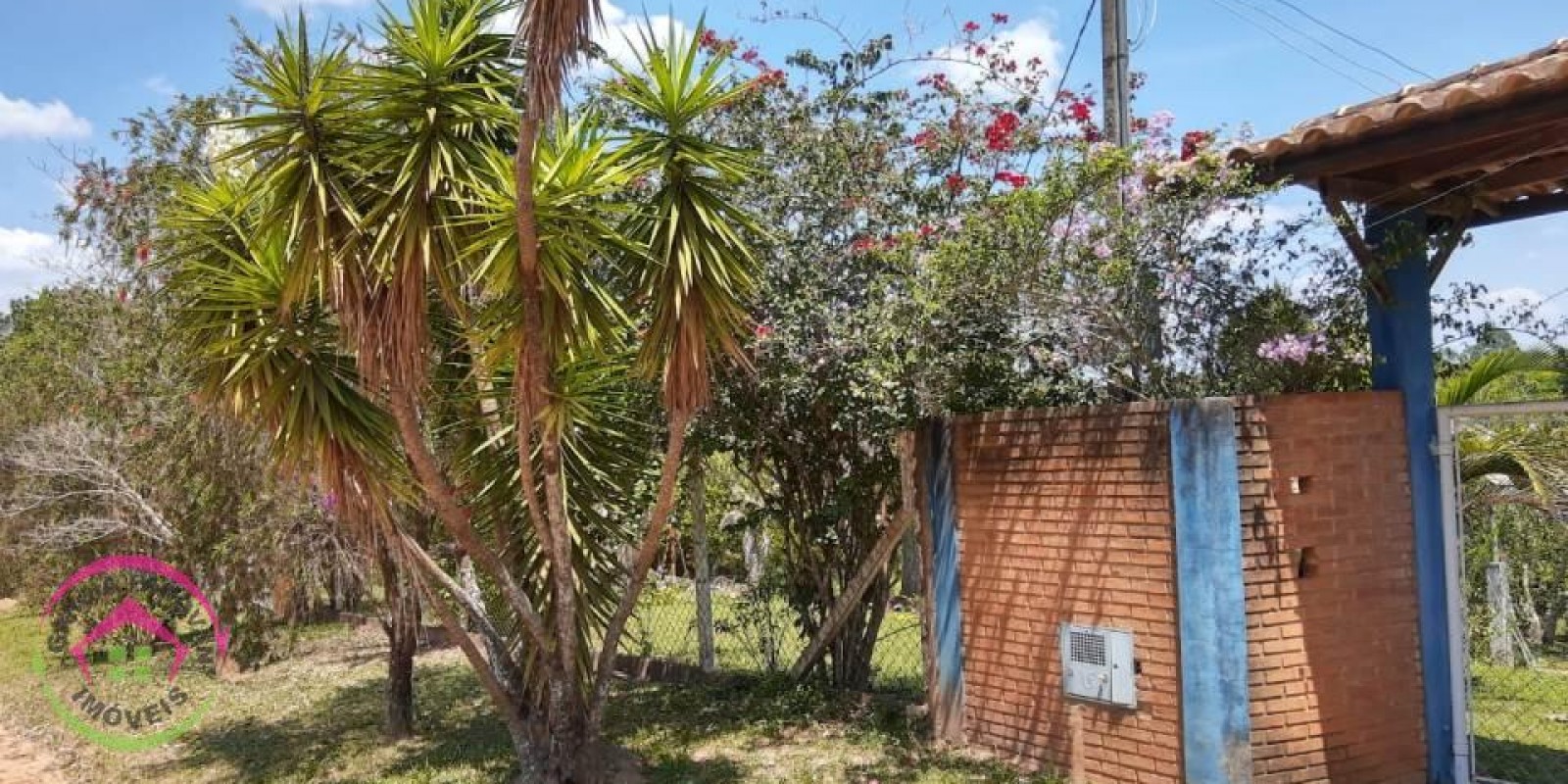 Vende se Chácara Campos Elíseos - Pardinho - SP - Foto 5 de 15