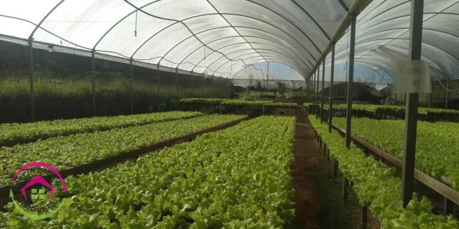 Chácara hidropônica em Botucatu SP