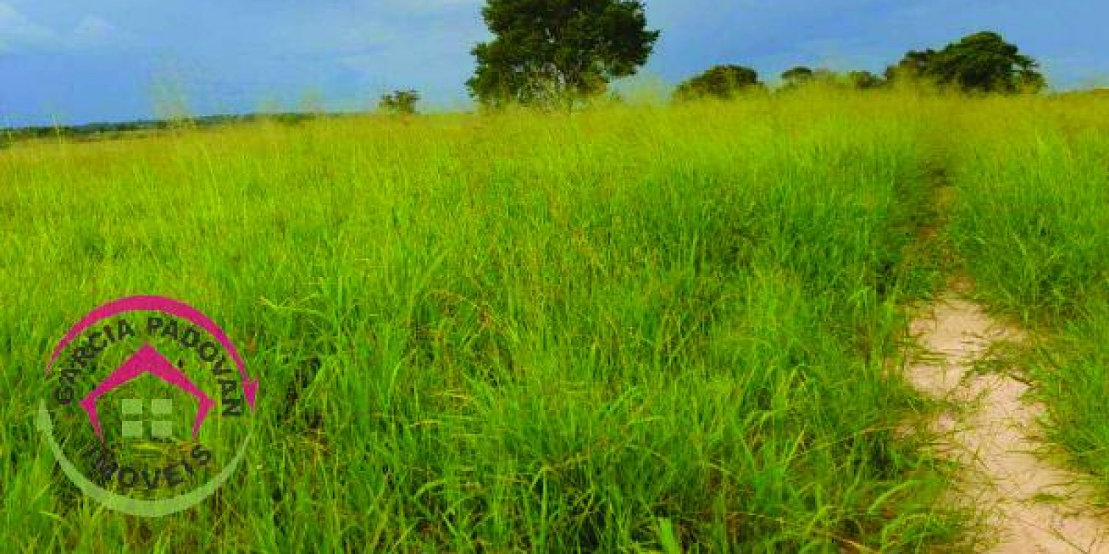 Fazenda de 3057 hectares em General Carneiro – MT - Foto 1 de 15