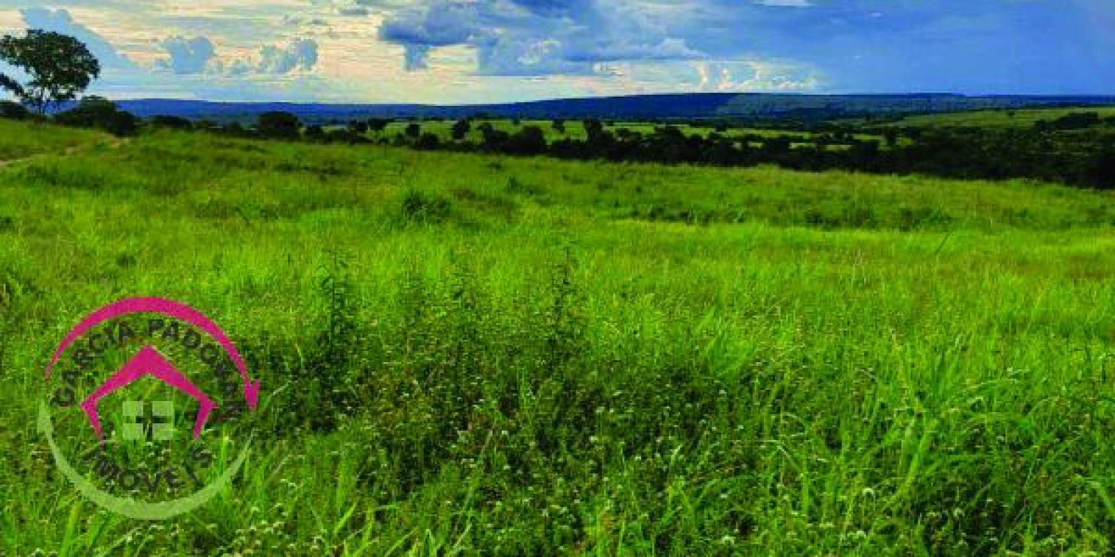 Fazenda de 3057 hectares em General Carneiro – MT - Foto 10 de 15