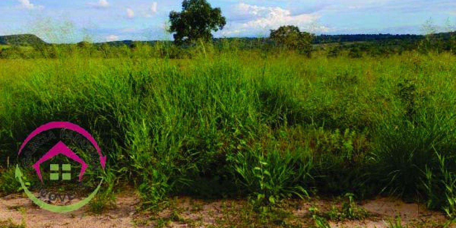 Fazenda de 3057 hectares em General Carneiro – MT - Foto 11 de 15
