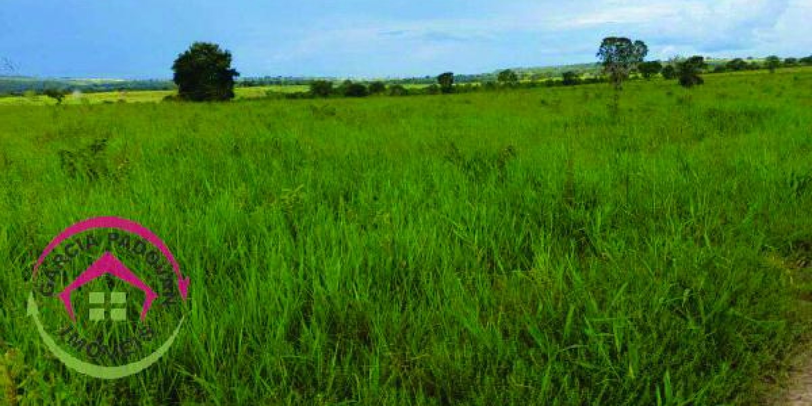 Fazenda de 3057 hectares em General Carneiro – MT - Foto 14 de 15