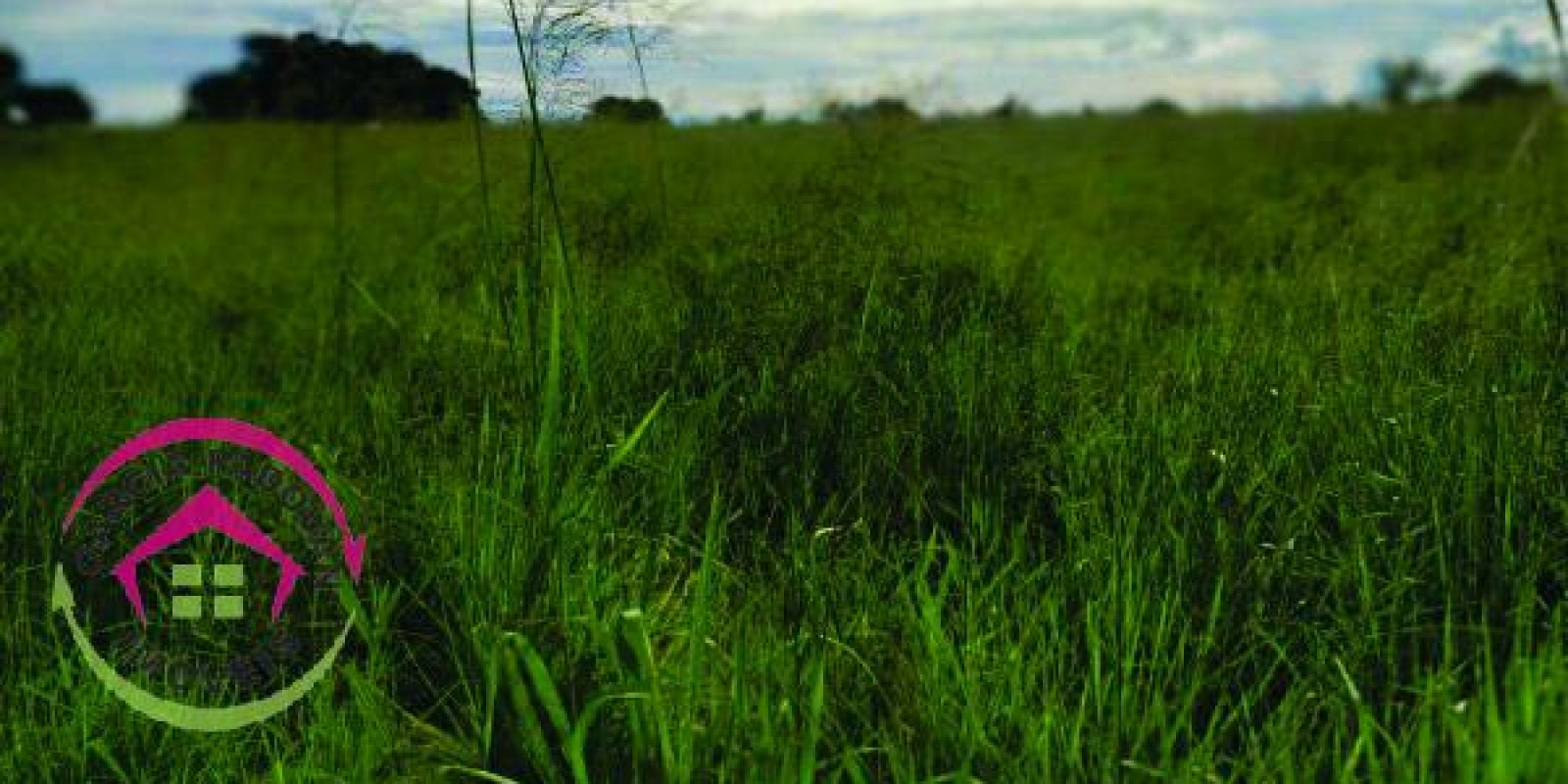 Fazenda de 3057 hectares em General Carneiro – MT - Foto 15 de 15