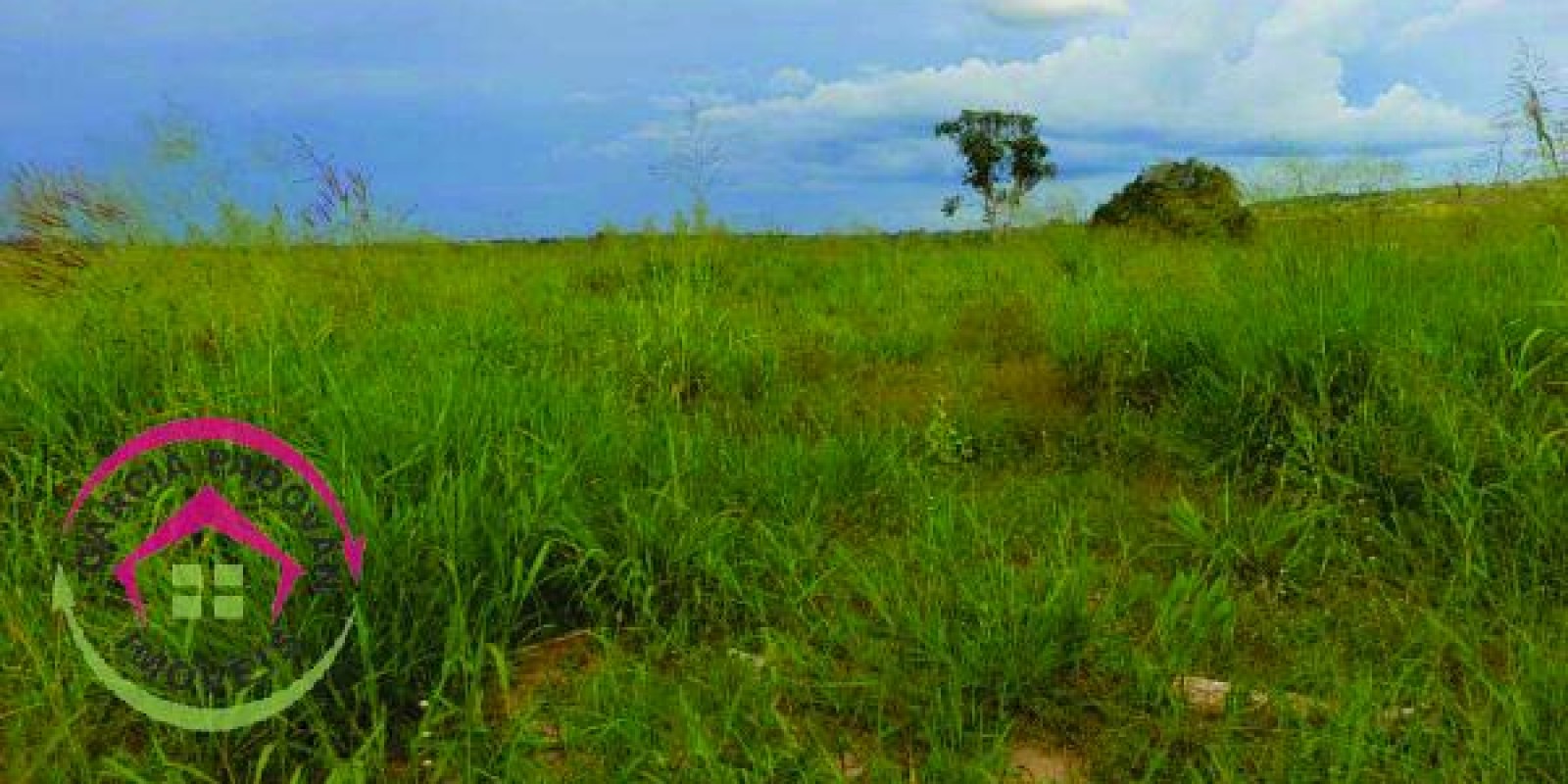 Fazenda de 3057 hectares em General Carneiro – MT - Foto 3 de 15