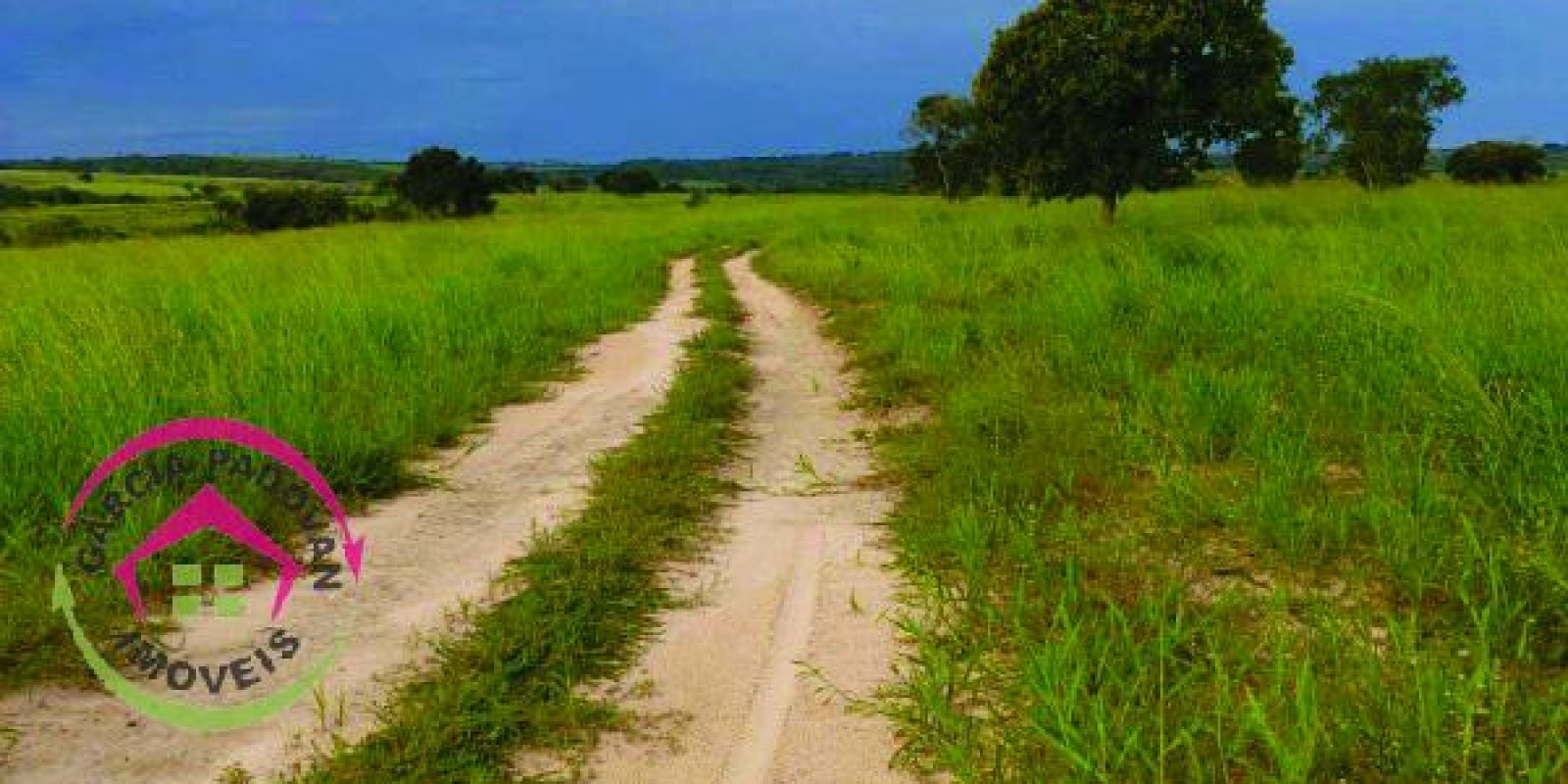 Fazenda de 3057 hectares em General Carneiro – MT - Foto 4 de 15