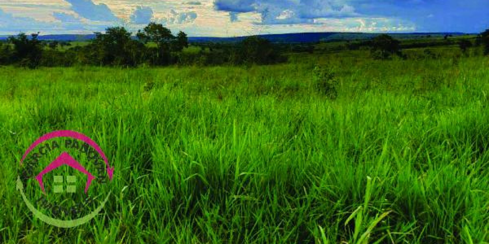 Fazenda de 3057 hectares em General Carneiro – MT - Foto 6 de 15