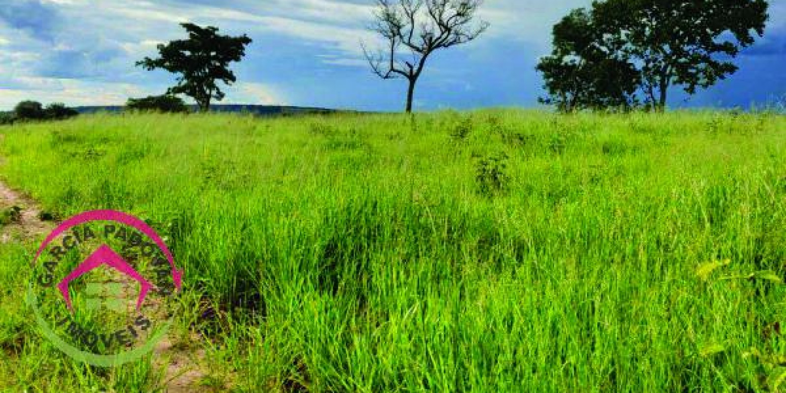 Fazenda de 3057 hectares em General Carneiro – MT - Foto 7 de 15