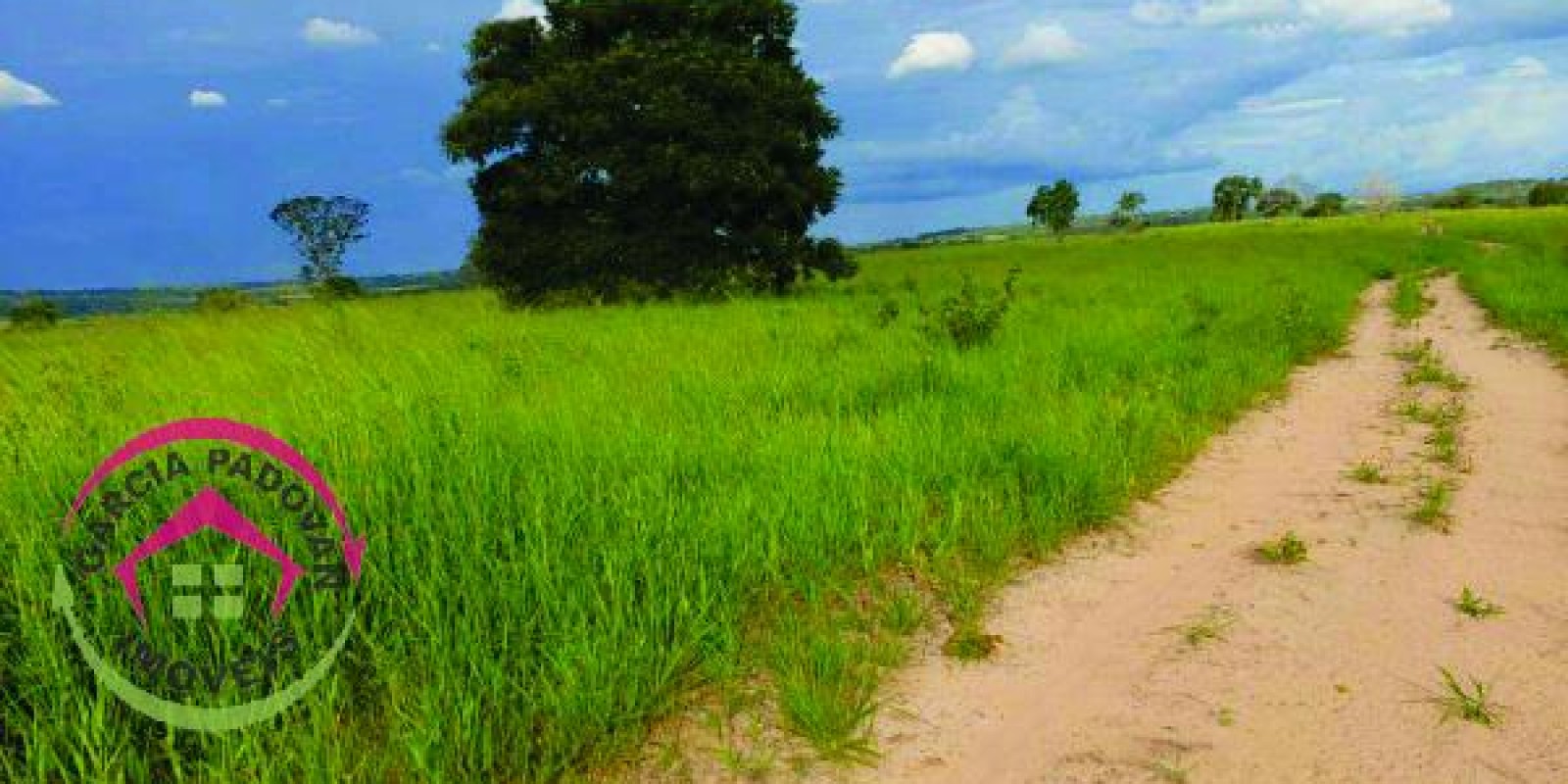 Fazenda de 3057 hectares em General Carneiro – MT - Foto 8 de 15
