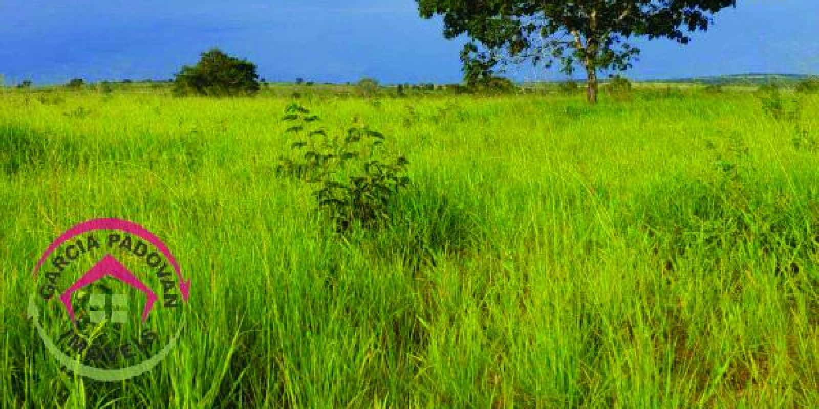 Fazenda de 3057 hectares em General Carneiro – MT - Foto 9 de 15