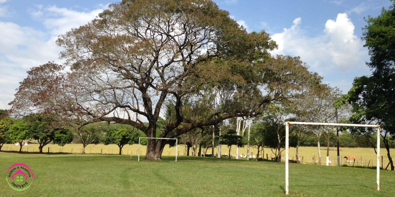 Vende se Fazenda de 28 Alqueires com Dupla Aptidão  5  km de Distância da Rodovia Castelo Branco - Foto 3 de 20