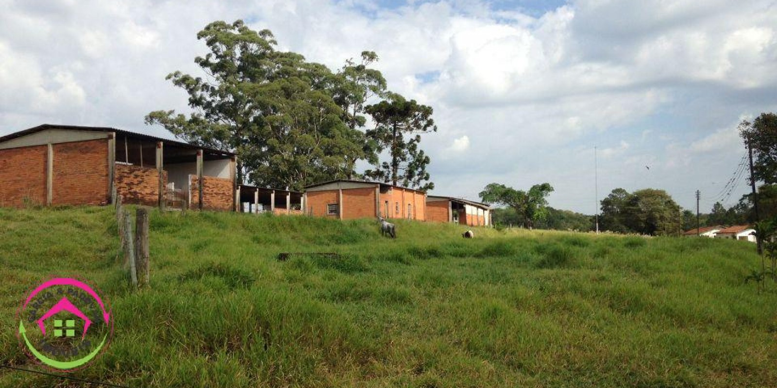 Vende se Fazenda de 28 Alqueires com Dupla Aptidão  5  km de Distância da Rodovia Castelo Branco - Foto 4 de 20