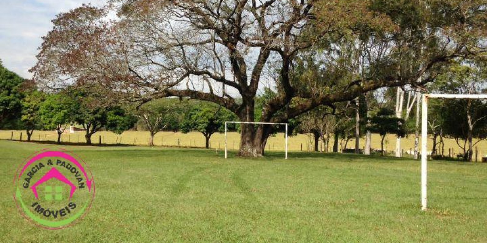 Vende se Fazenda de 28 Alqueires com Dupla Aptidão  5  km de Distância da Rodovia Castelo Branco - Foto 6 de 20