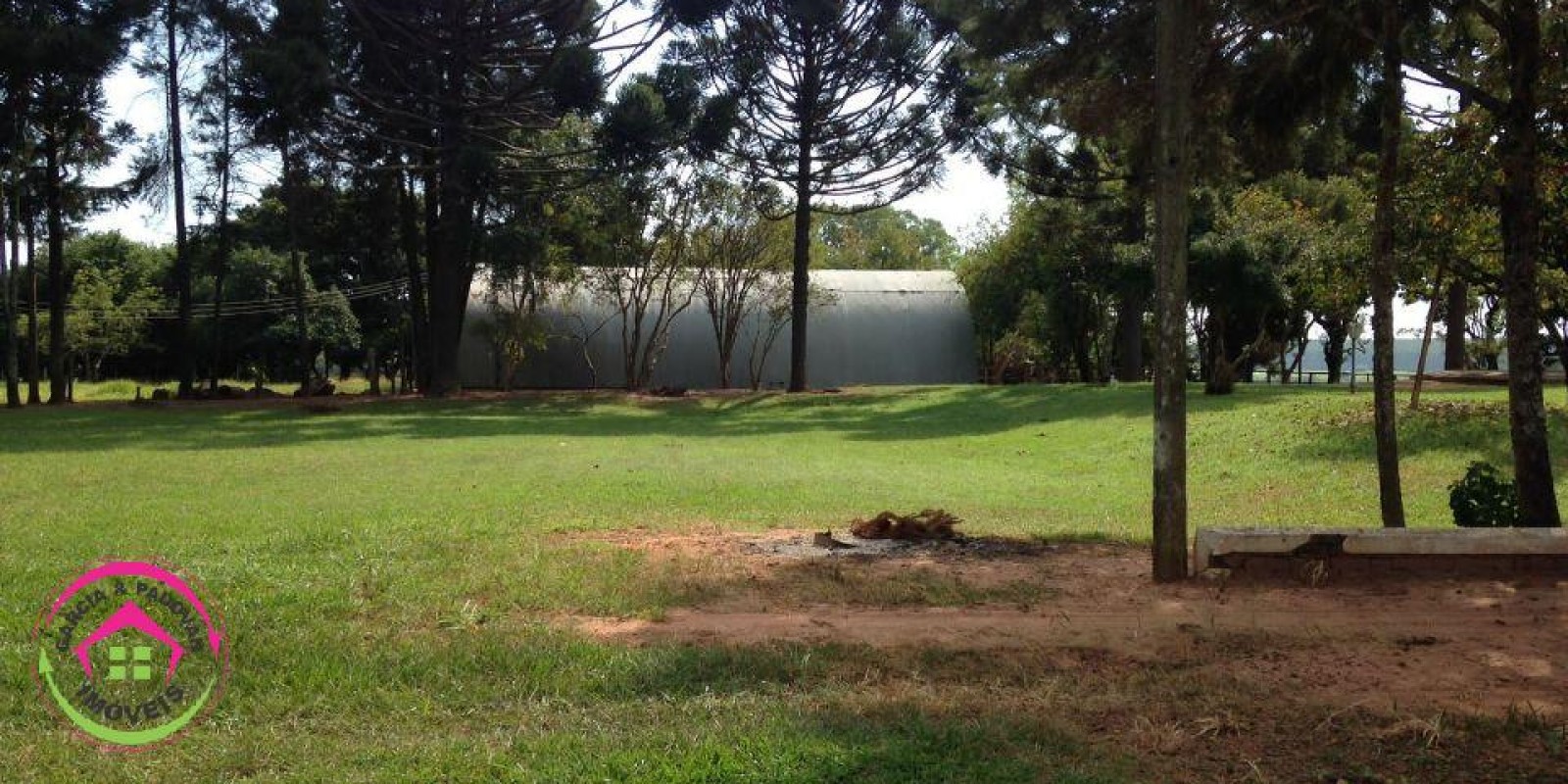 Vende se Fazenda de 28 Alqueires com Dupla Aptidão  5  km de Distância da Rodovia Castelo Branco - Foto 9 de 20