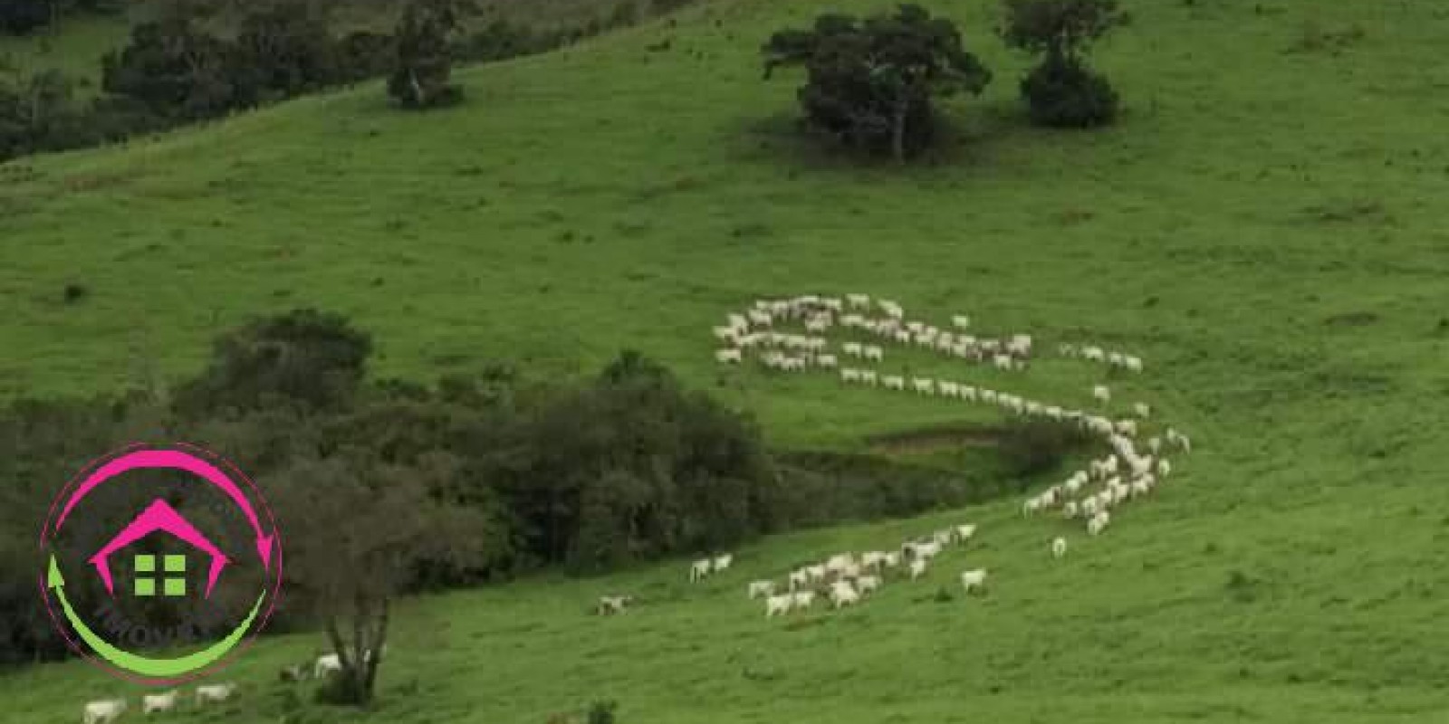 Fazenda à Venda:  652 Hectares - Caxambu-MG - Foto 2 de 7