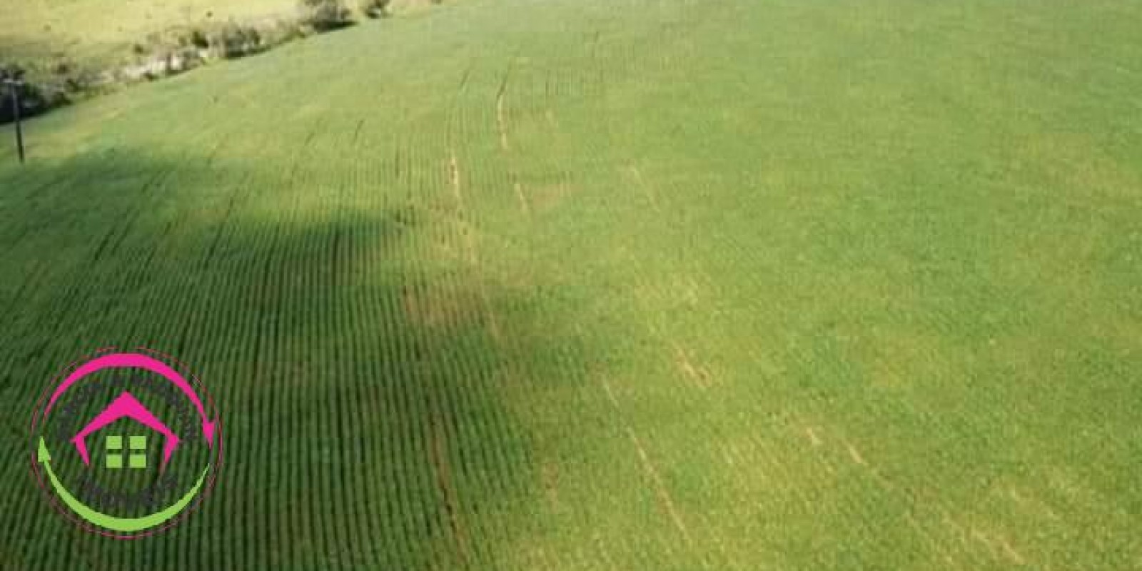 Fazenda à Venda:  652 Hectares - Caxambu-MG - Foto 5 de 7