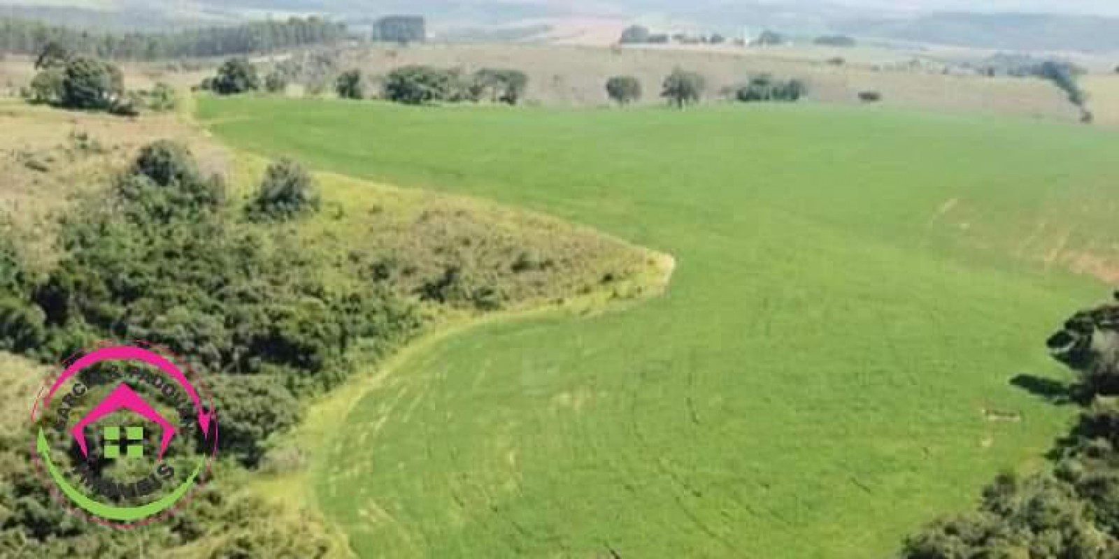 Fazenda à Venda:  652 Hectares - Caxambu-MG - Foto 7 de 7
