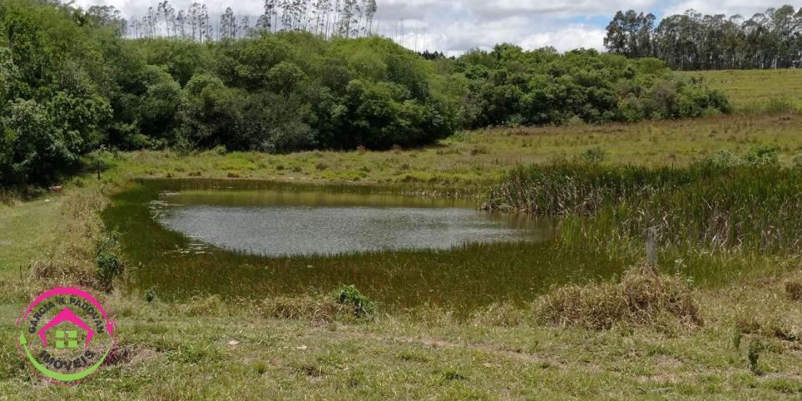 Vende Fazenda Dupla Aptidão em Paranapanema - SP  - Foto 1 de 15