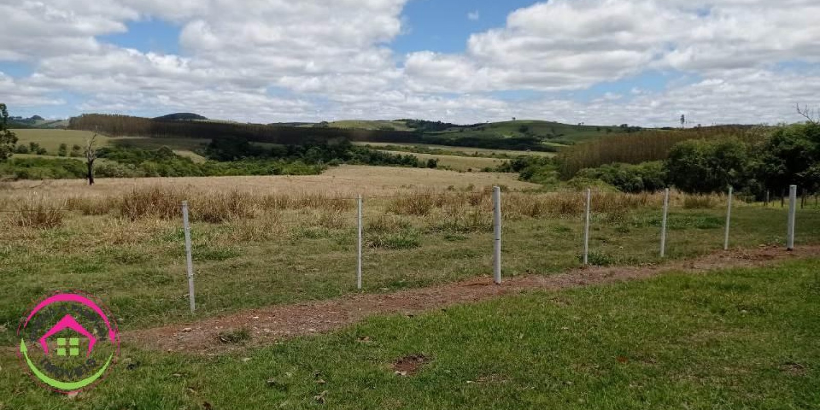Vende Fazenda Dupla Aptidão em Paranapanema - SP  - Foto 11 de 15