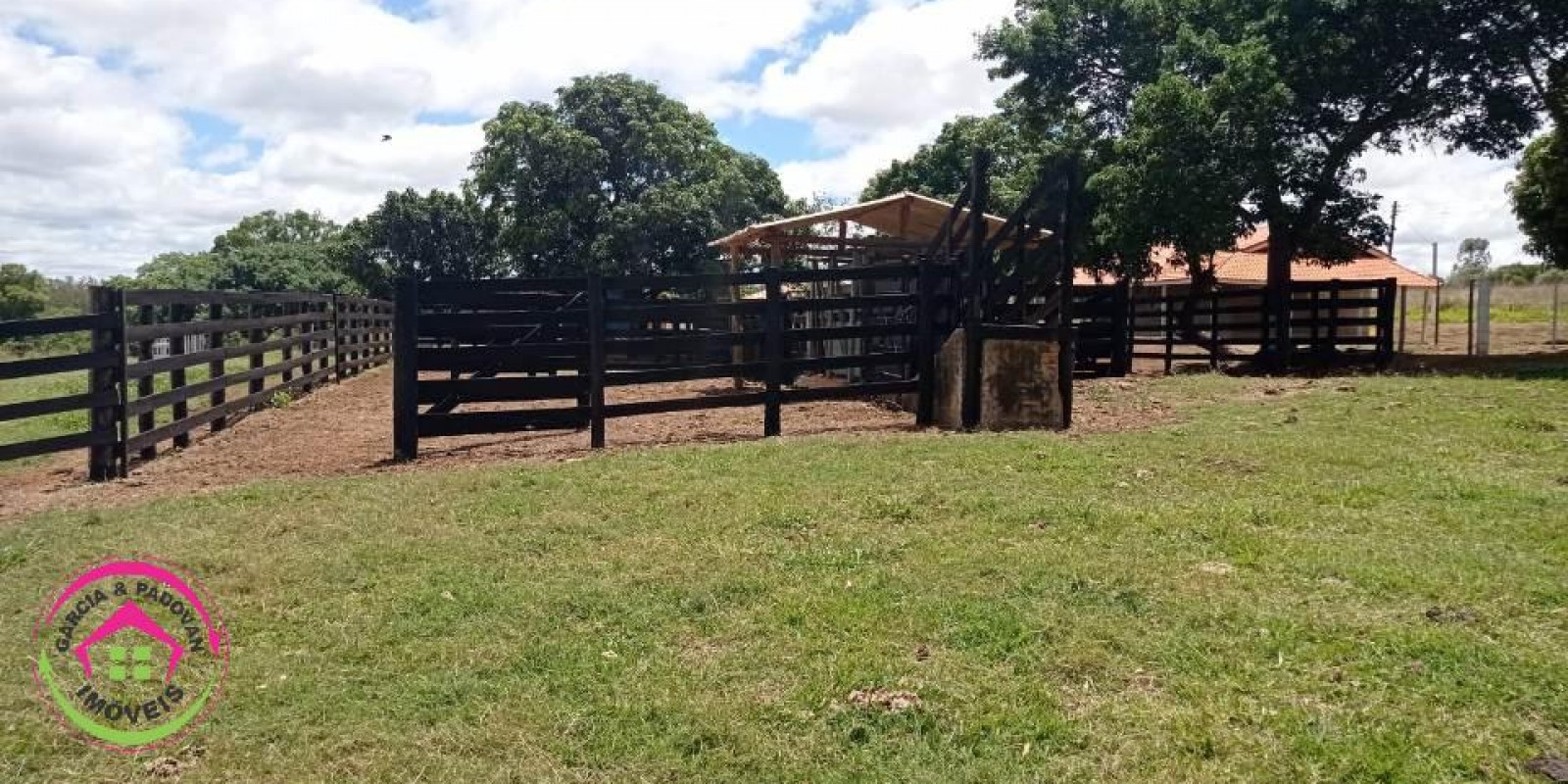 Vende Fazenda Dupla Aptidão em Paranapanema - SP  - Foto 12 de 15