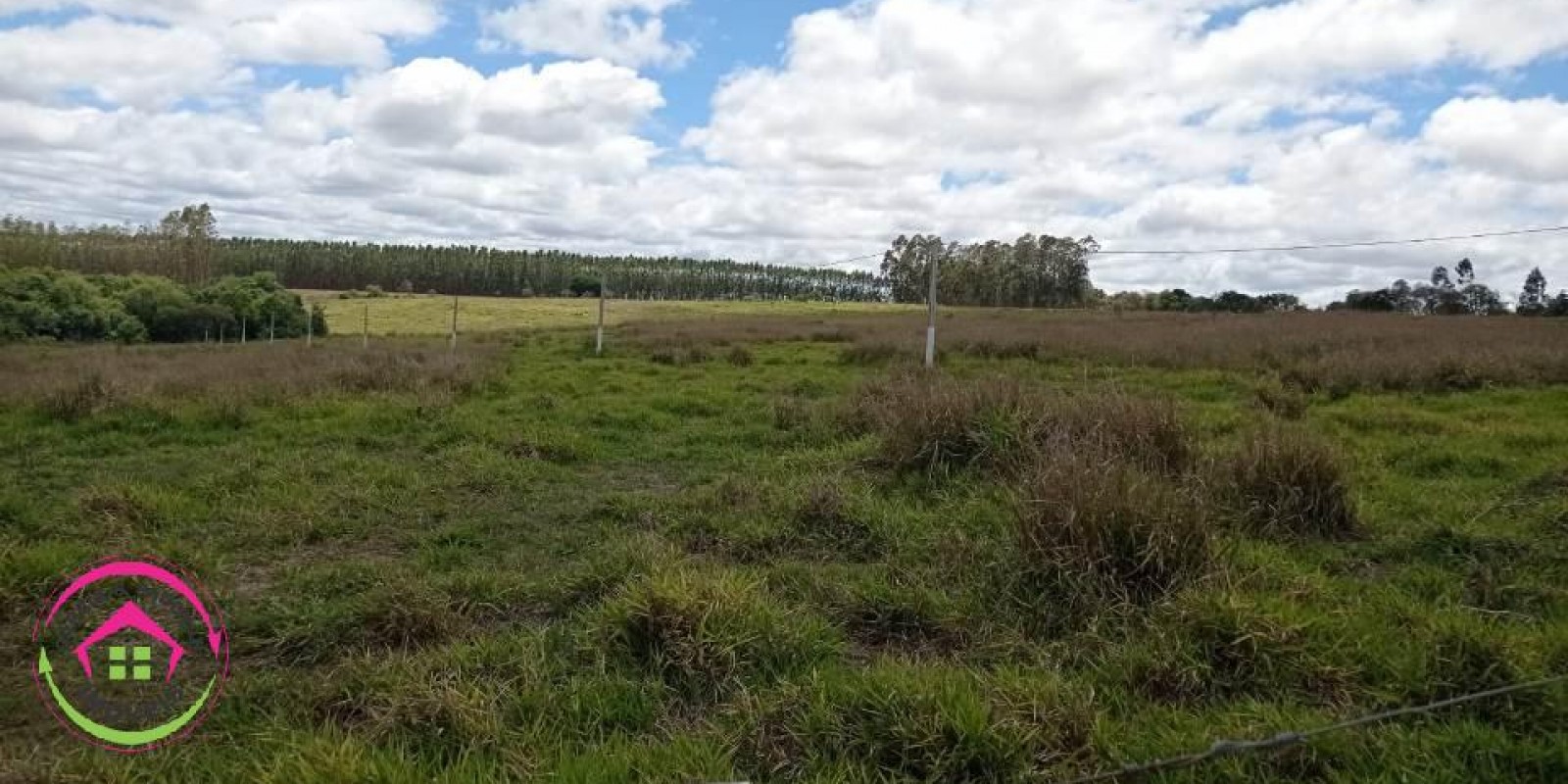 Vende Fazenda Dupla Aptidão em Paranapanema - SP  - Foto 13 de 15