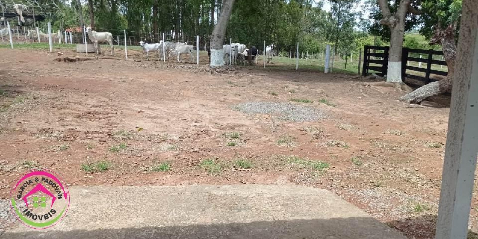 Vende Fazenda Dupla Aptidão em Paranapanema - SP  - Foto 2 de 15