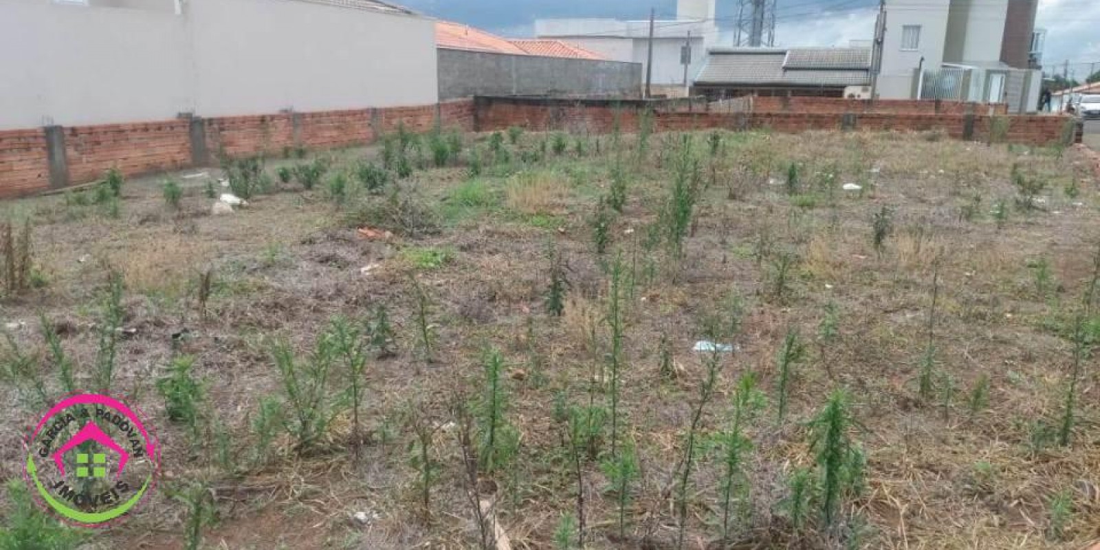 Vende se Terreno - Jd. Regina - Botucatu - SP - Foto 3 de 4