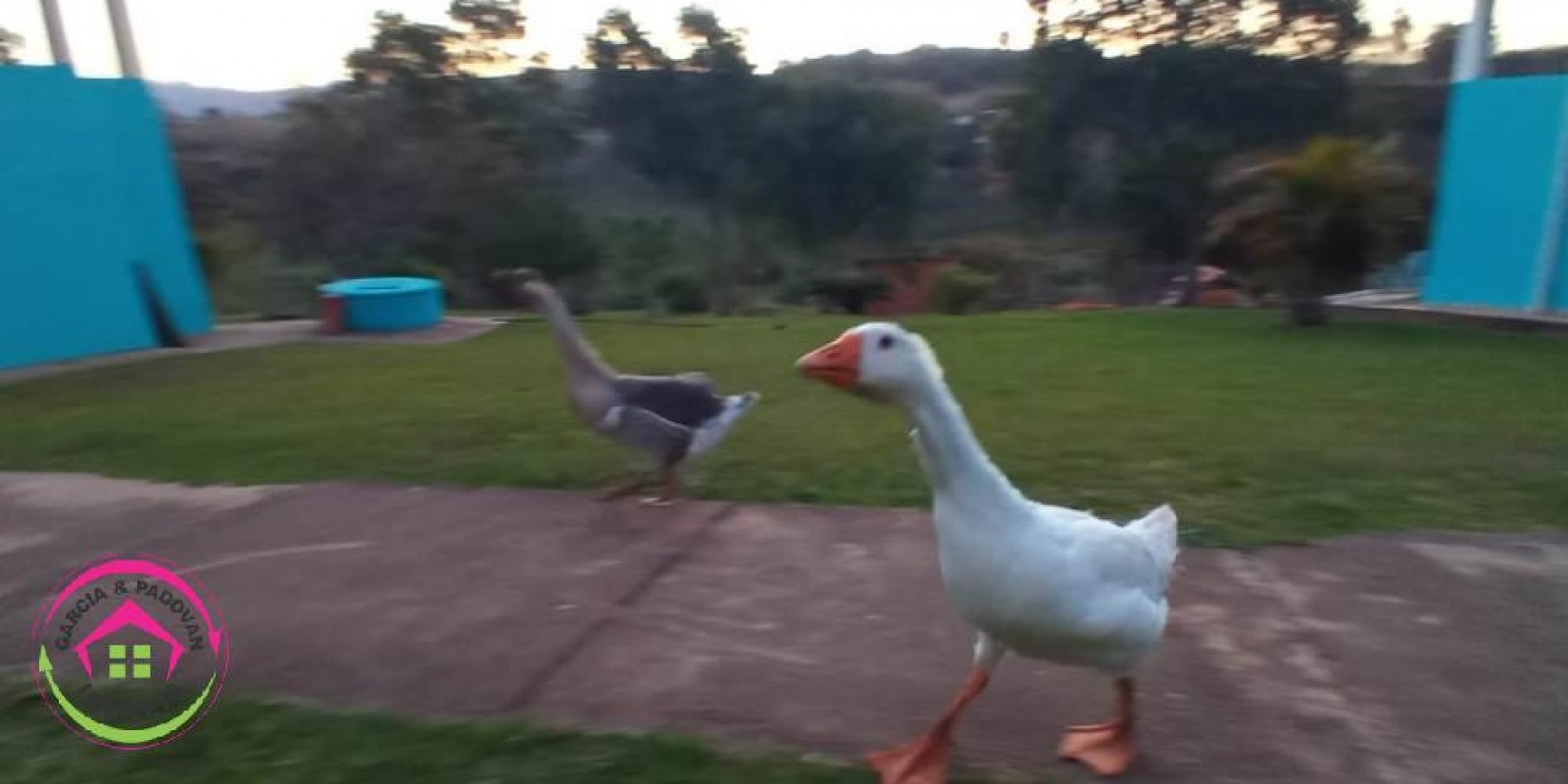 Venda de Chácara - Bofete - SP - Foto 19 de 21