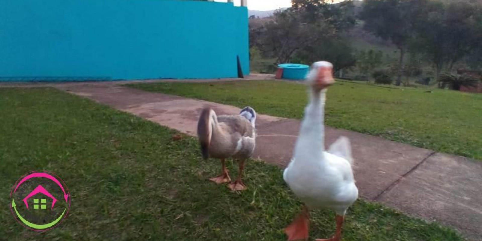 Venda de Chácara - Bofete - SP - Foto 21 de 21