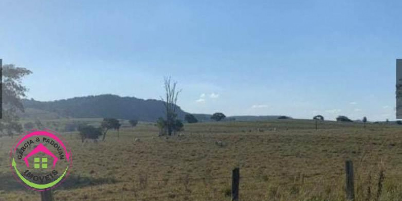 Fazenda no Município de Itatinga - SP - Foto 16 de 30