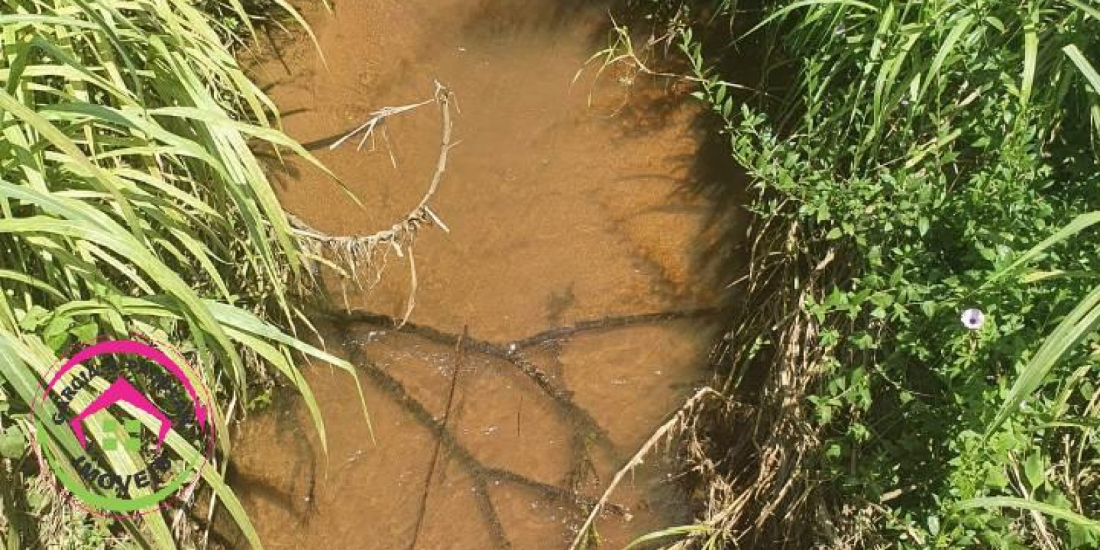 Fazenda no Município de Itatinga - SP - Foto 29 de 30