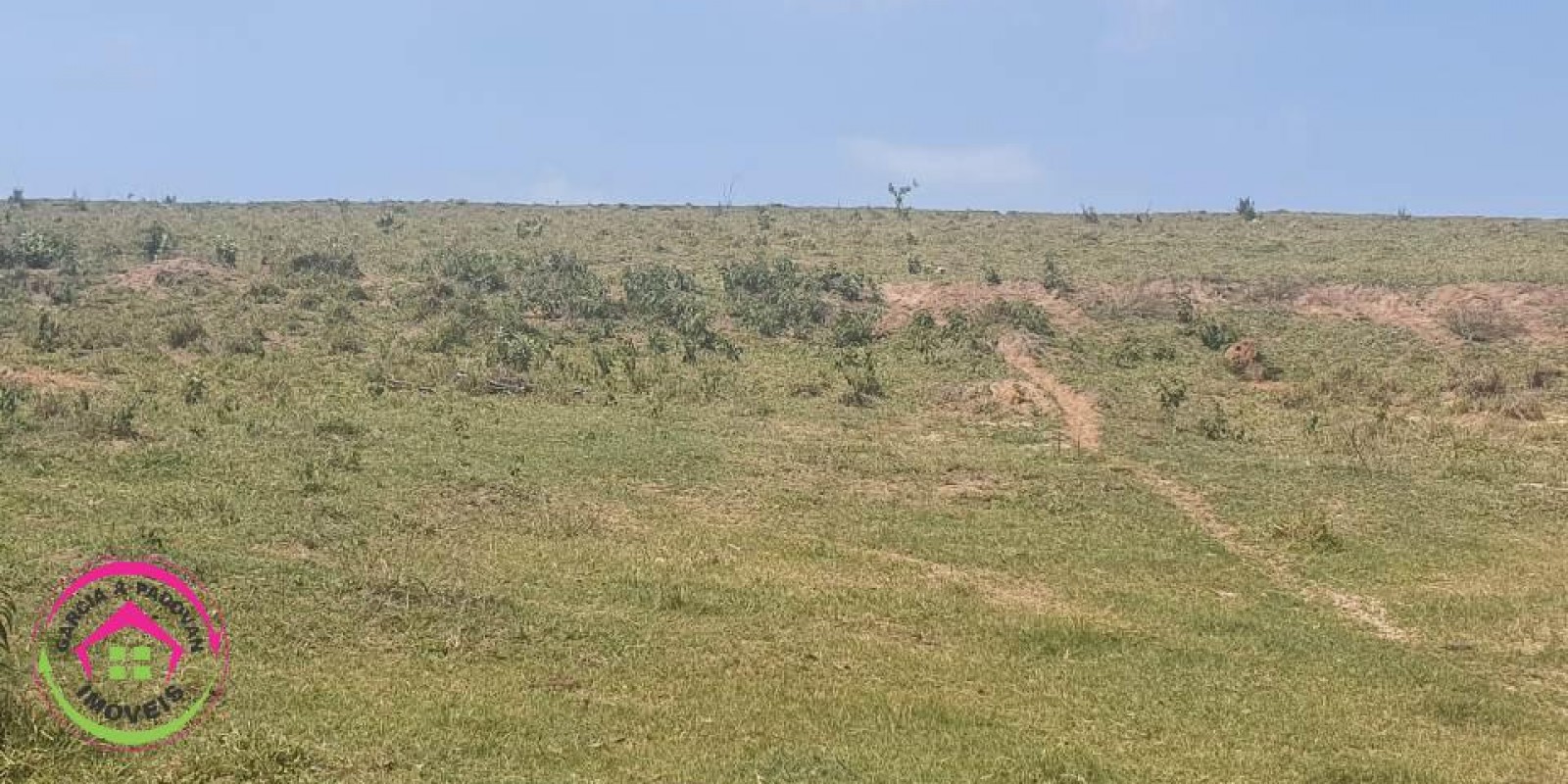 Fazenda no Município de Itatinga - SP - Foto 26 de 30