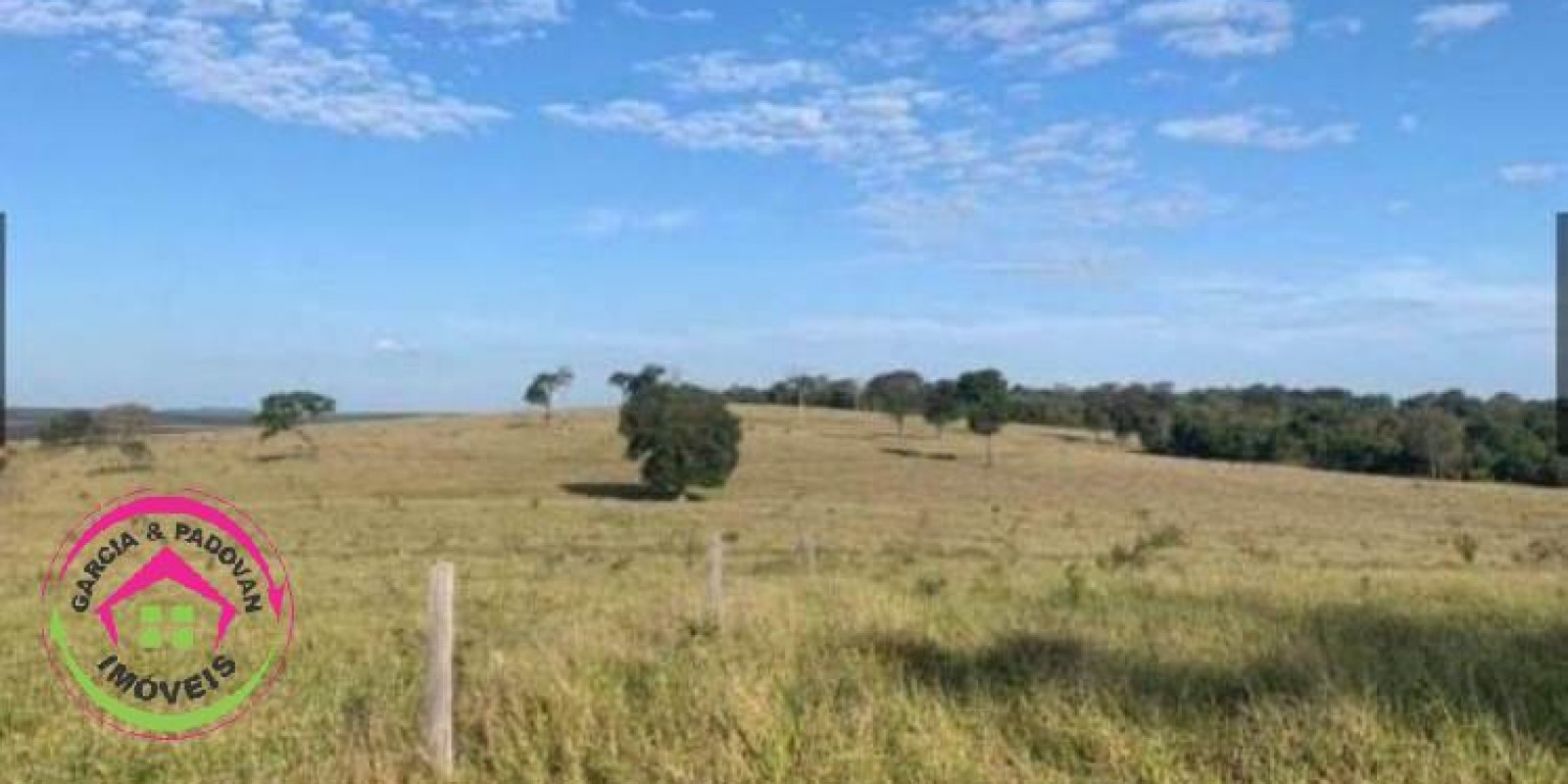 Fazenda no Município de Itatinga - SP - Foto 13 de 30