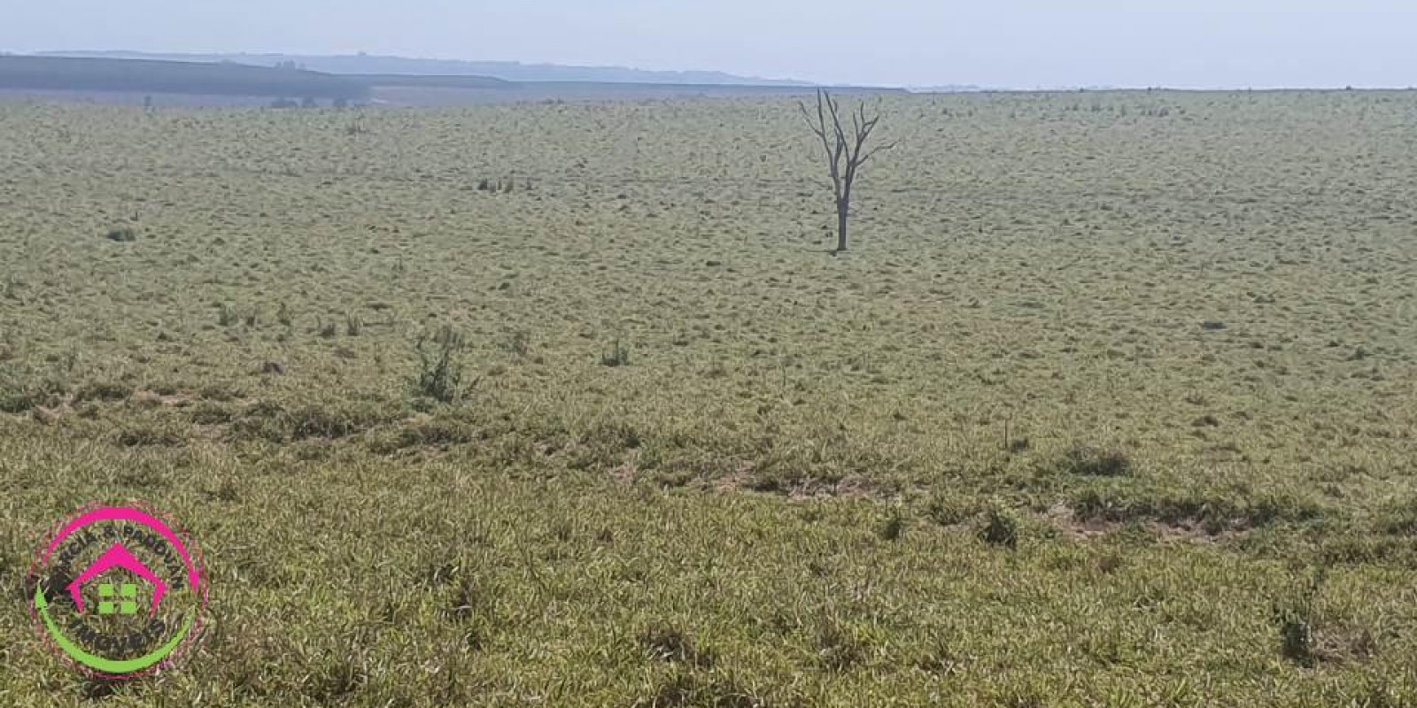 Fazenda no Município de Itatinga - SP - Foto 27 de 30