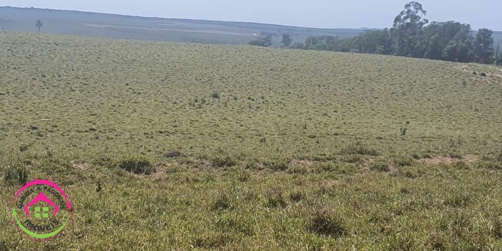 Fazenda no Município de Itatinga - SP - Foto 28 de 30