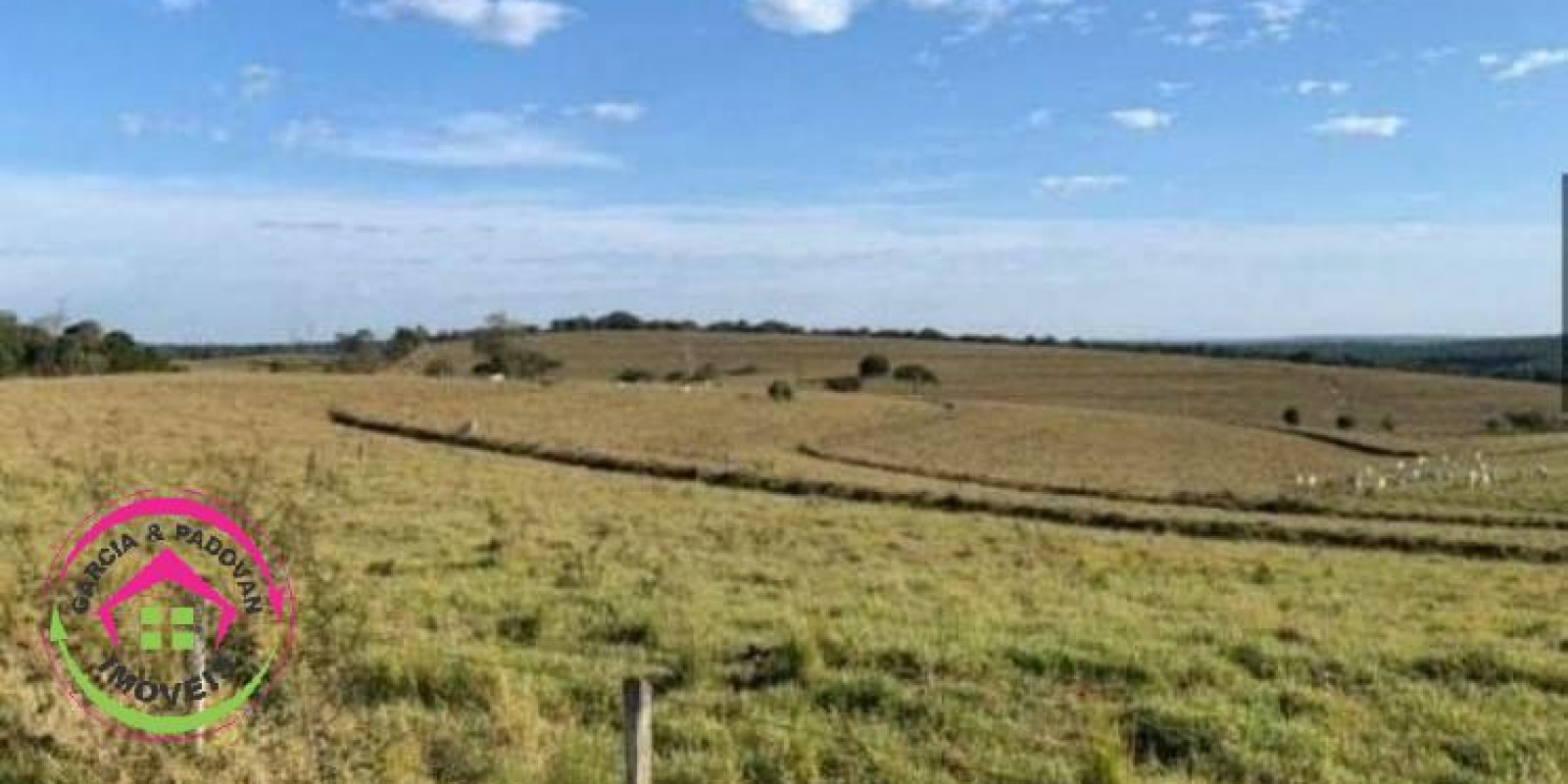 Fazenda no Município de Itatinga - SP - Foto 3 de 30