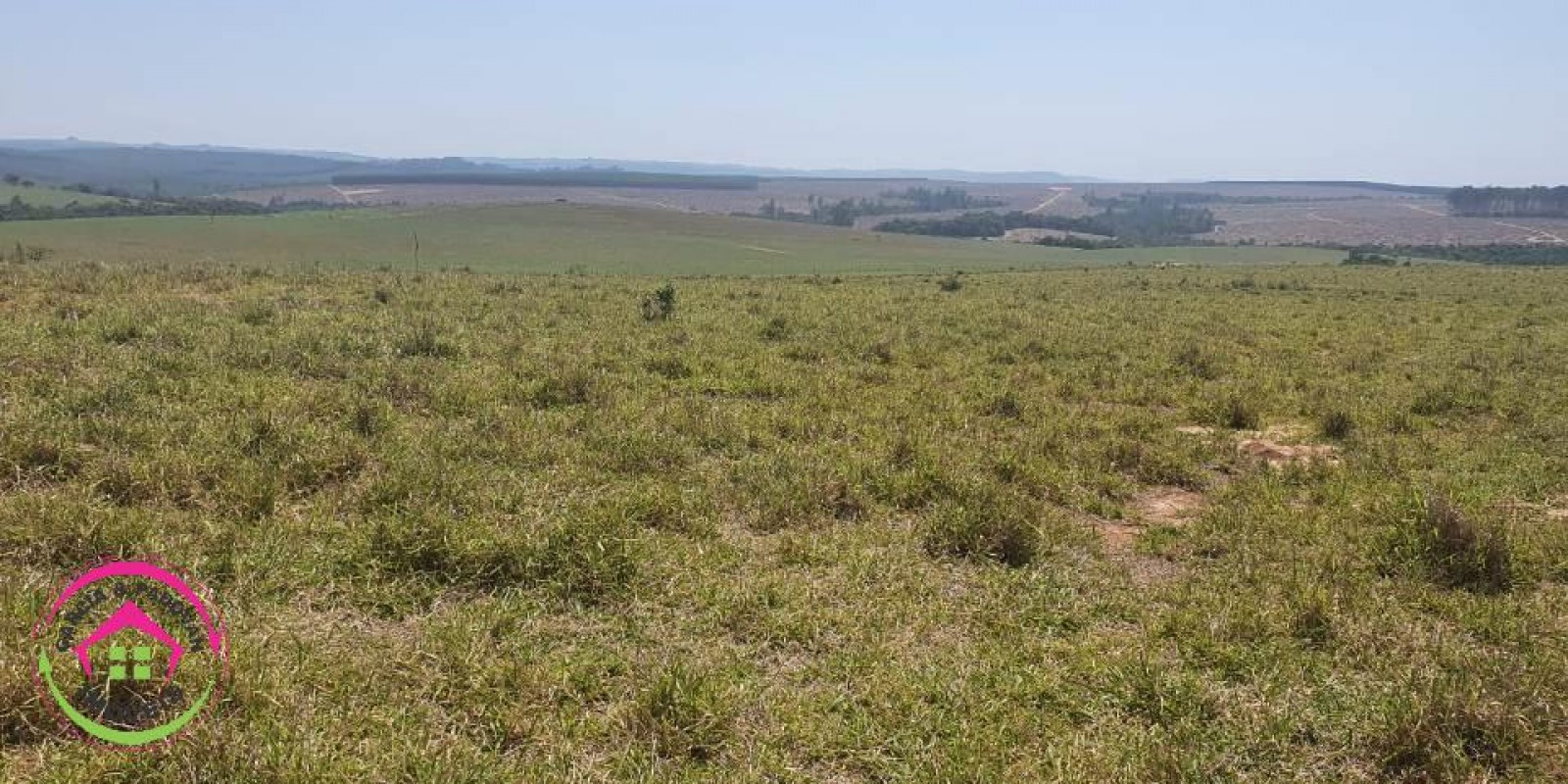 Fazenda no Município de Itatinga - SP - Foto 17 de 30