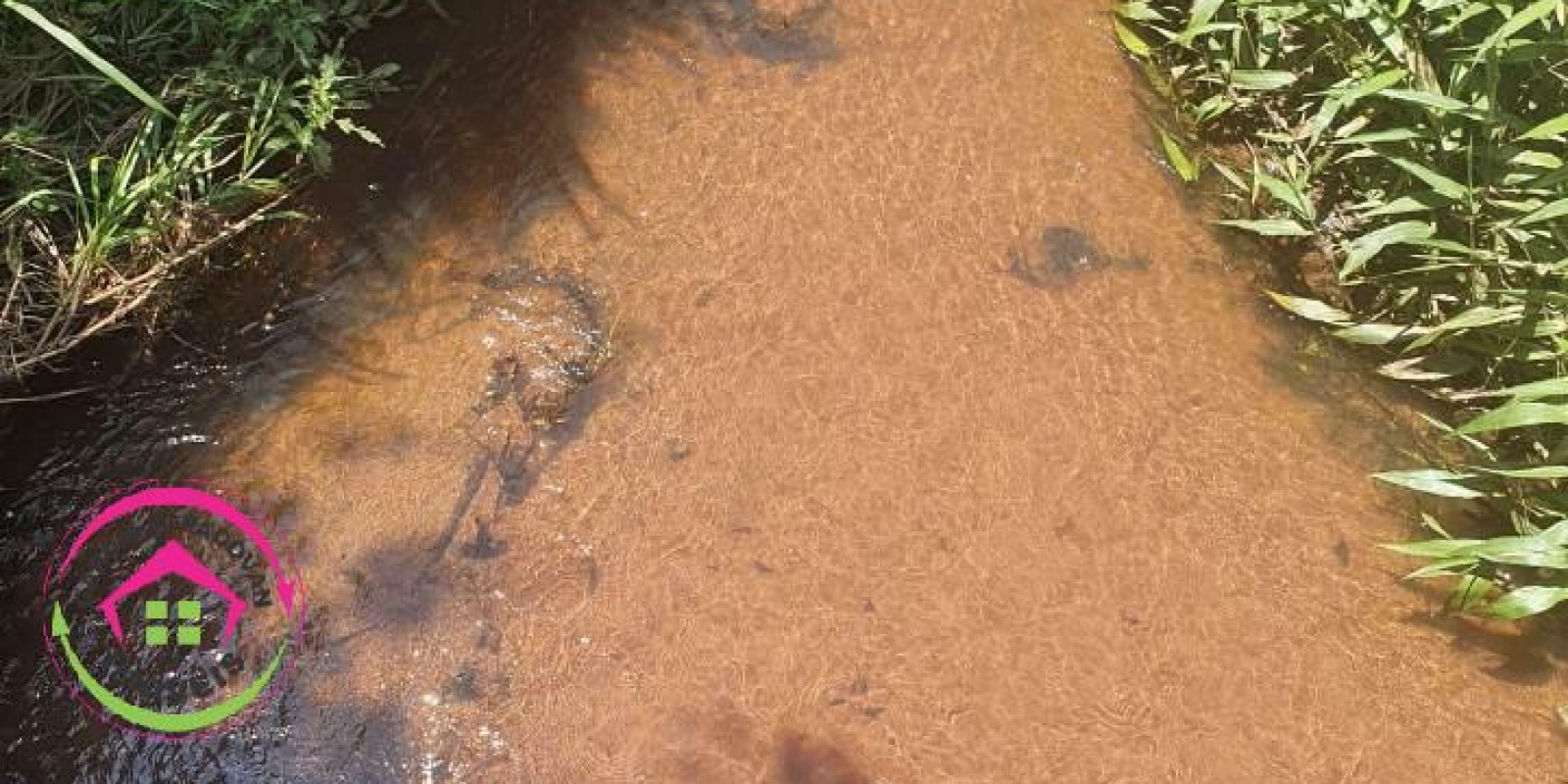 Fazenda no Município de Itatinga - SP - Foto 30 de 30