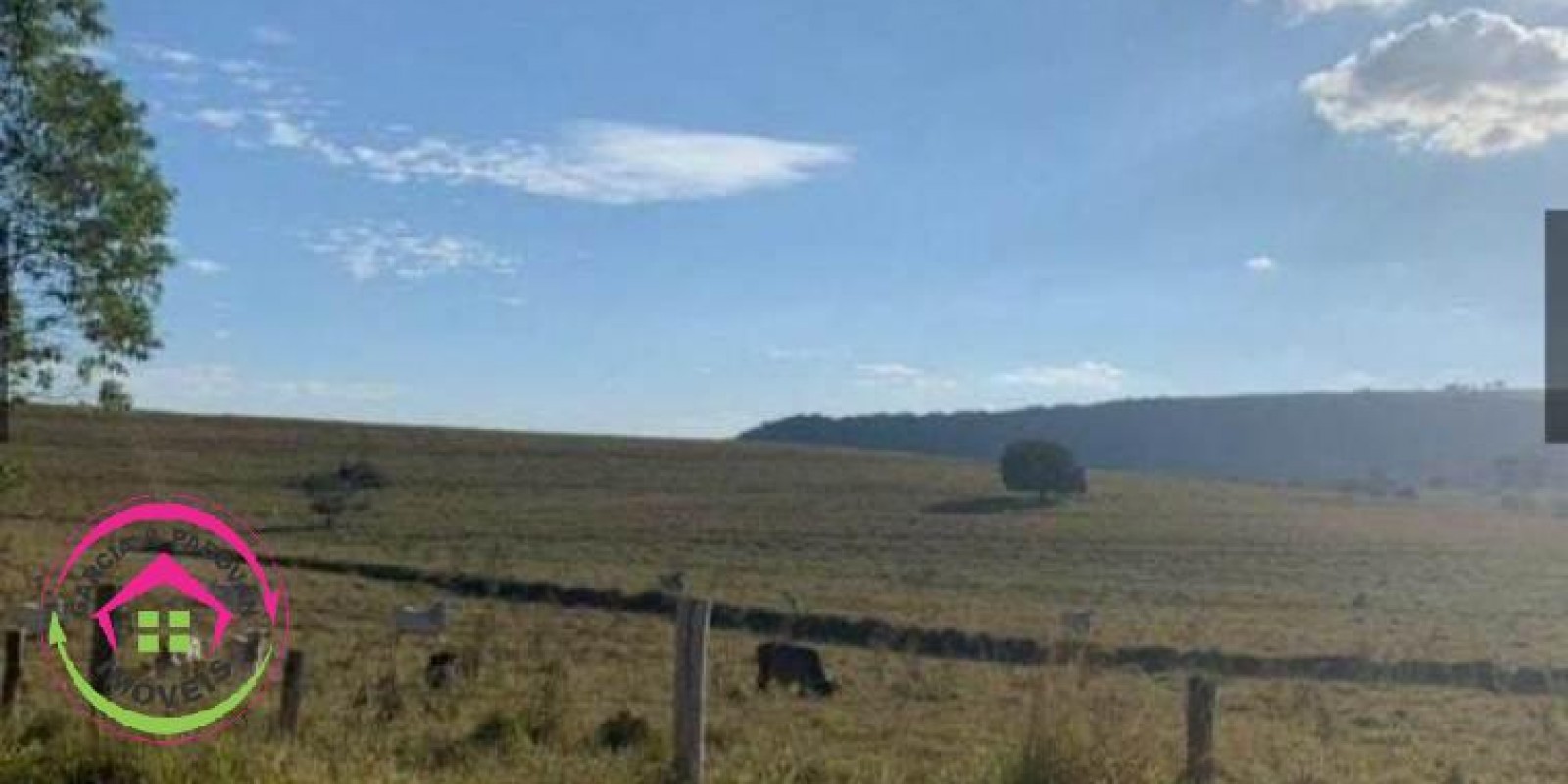 Fazenda no Município de Itatinga - SP - Foto 4 de 30