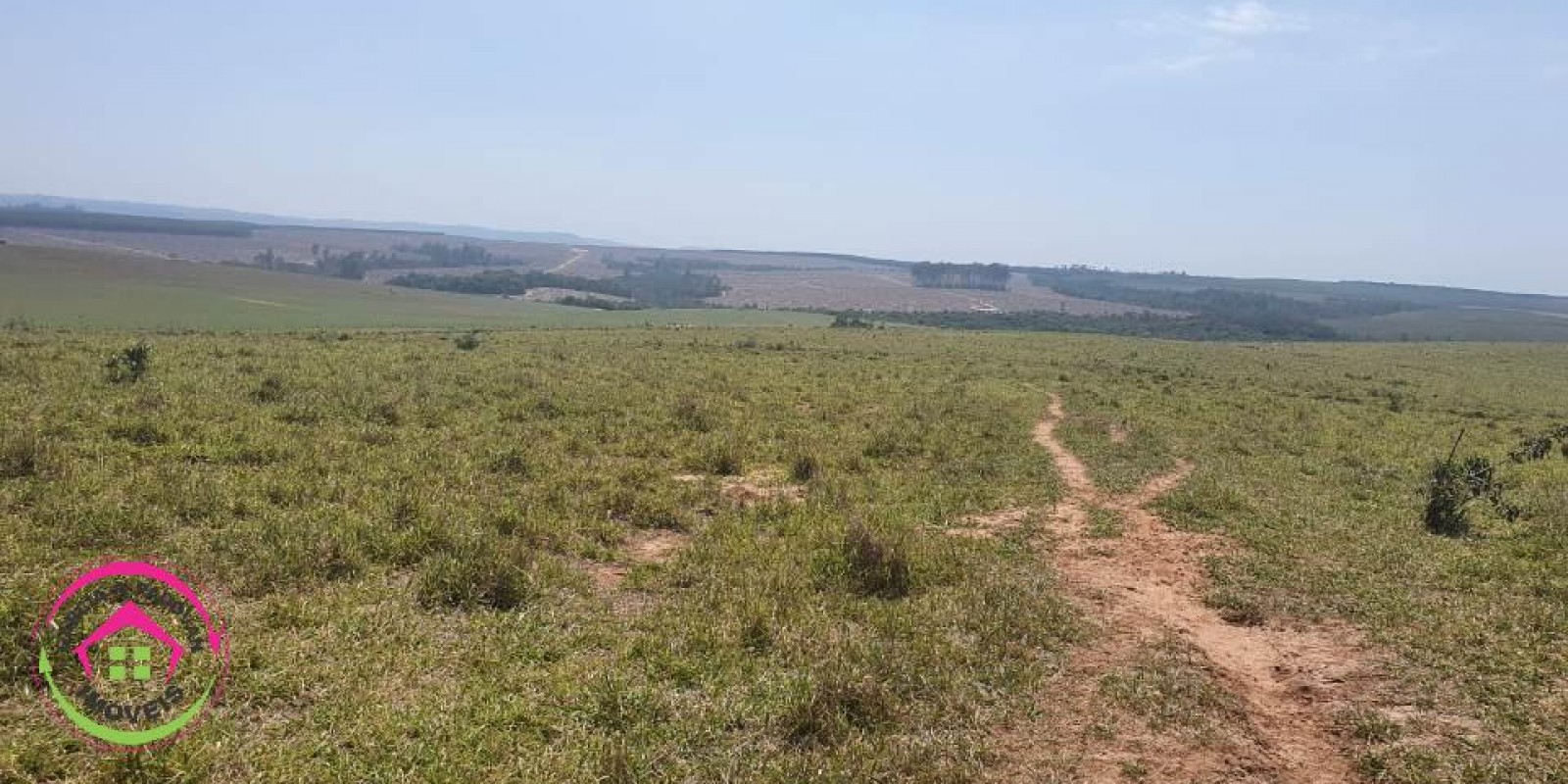 Fazenda no Município de Itatinga - SP - Foto 18 de 30