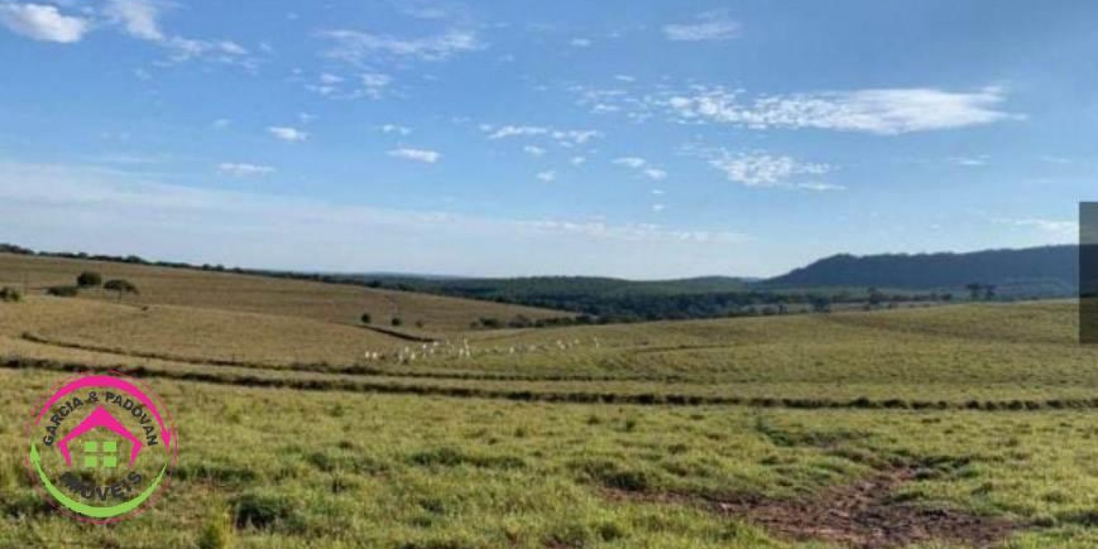 Fazenda no Município de Itatinga - SP - Foto 6 de 30