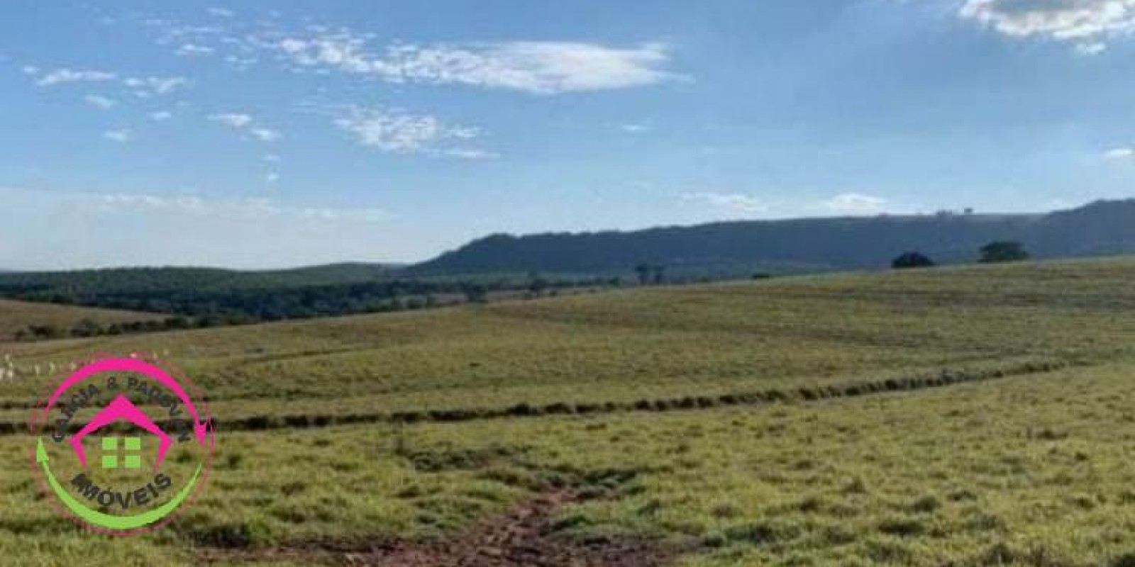 Fazenda no Município de Itatinga - SP - Foto 7 de 30