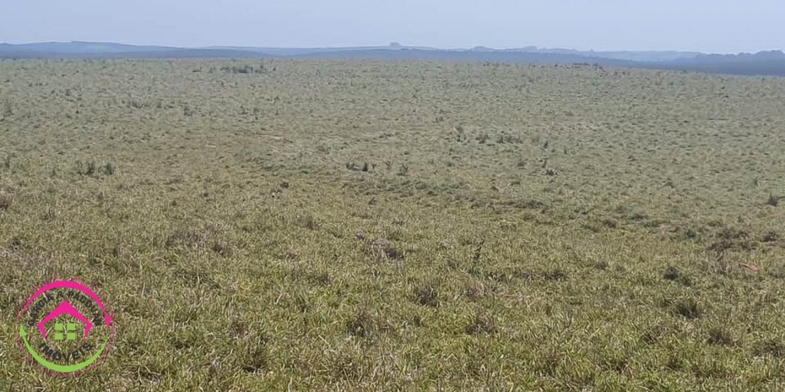 Fazenda no Município de Itatinga - SP - Foto 21 de 30