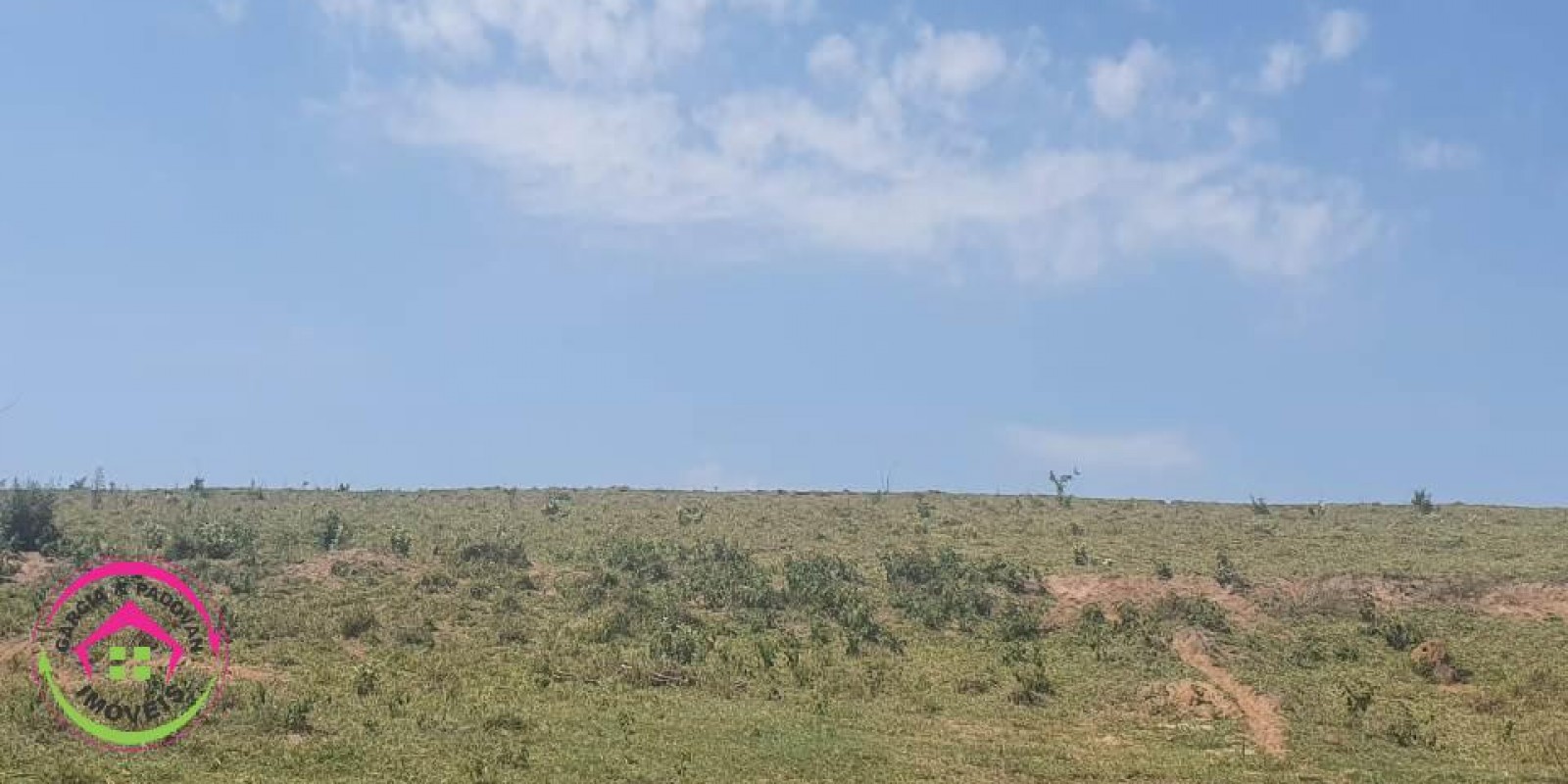 Fazenda no Município de Itatinga - SP - Foto 22 de 30