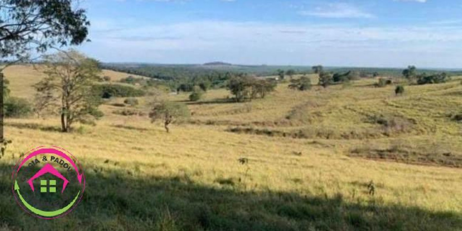 Fazenda no Município de Itatinga - SP - Foto 9 de 30