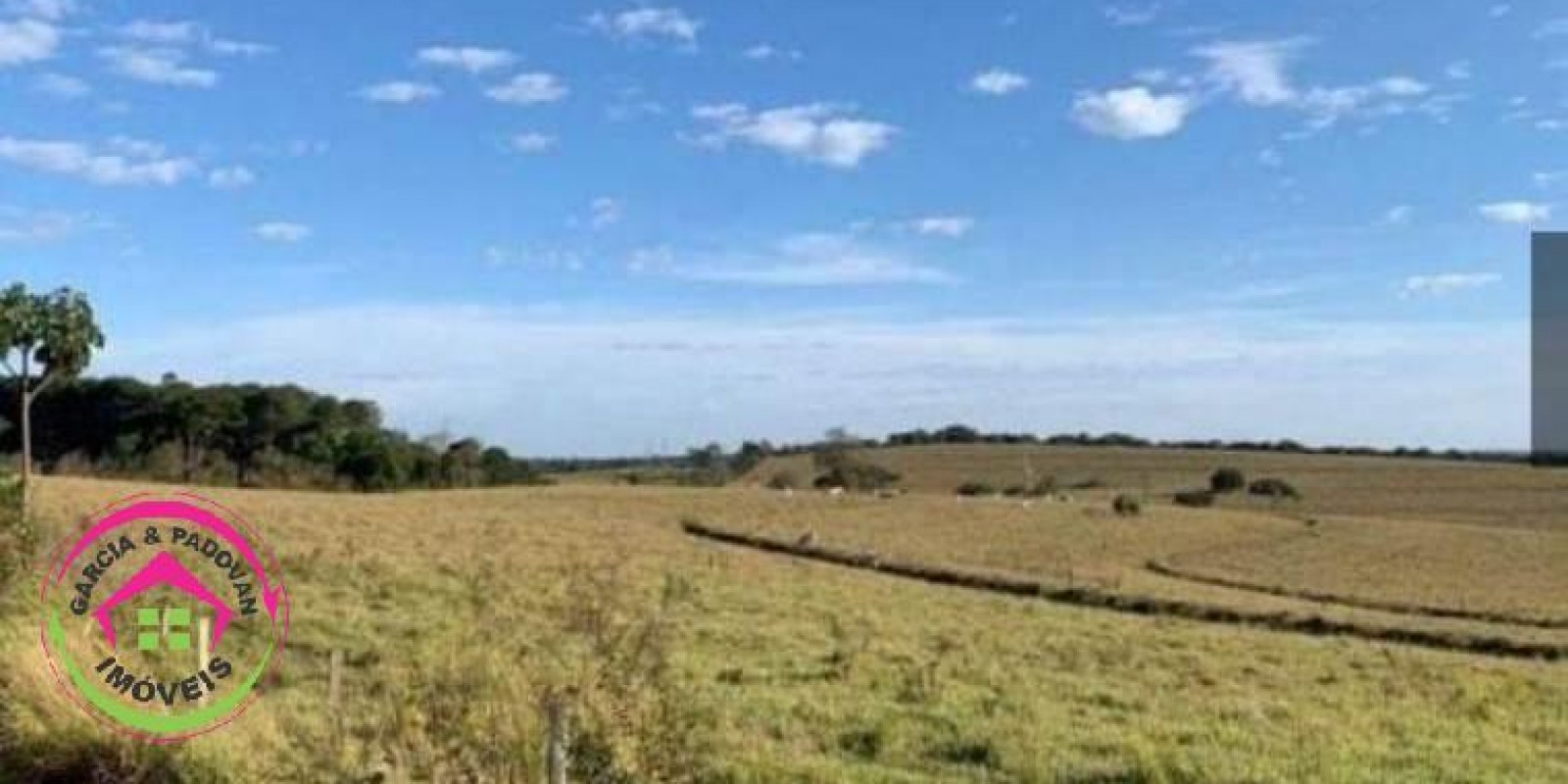 Fazenda no Município de Itatinga - SP - Foto 10 de 30