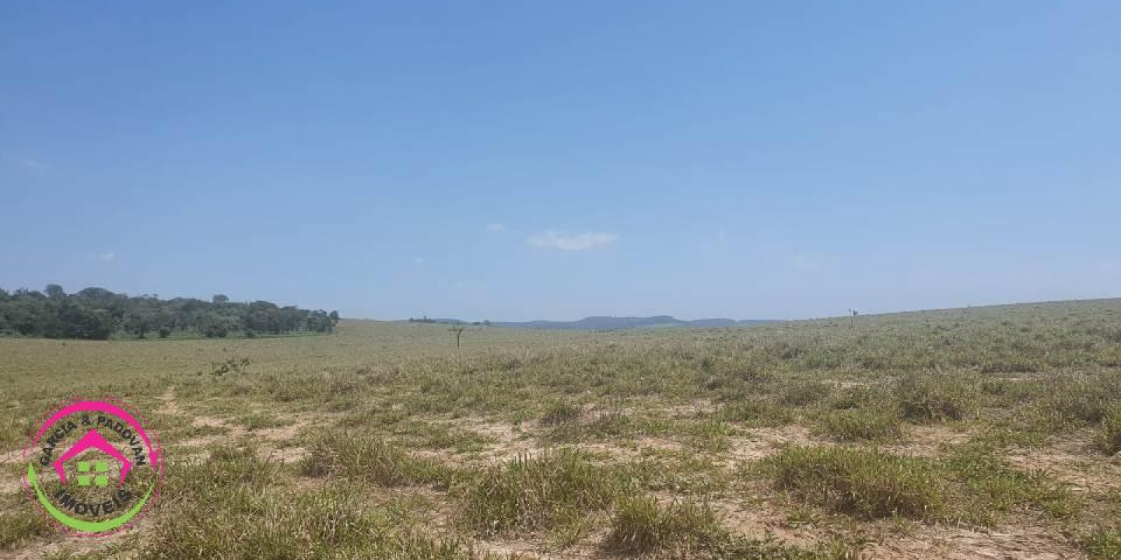 Fazenda no Município de Itatinga - SP - Foto 24 de 30