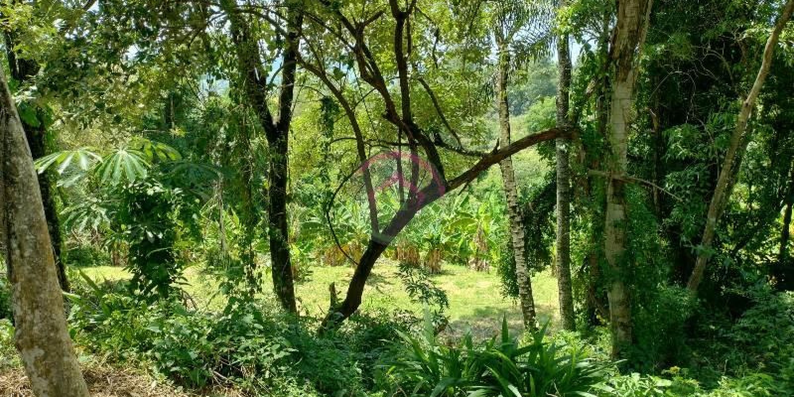 Chácara a Venda em Bofete  SP - Foto 5 de 15