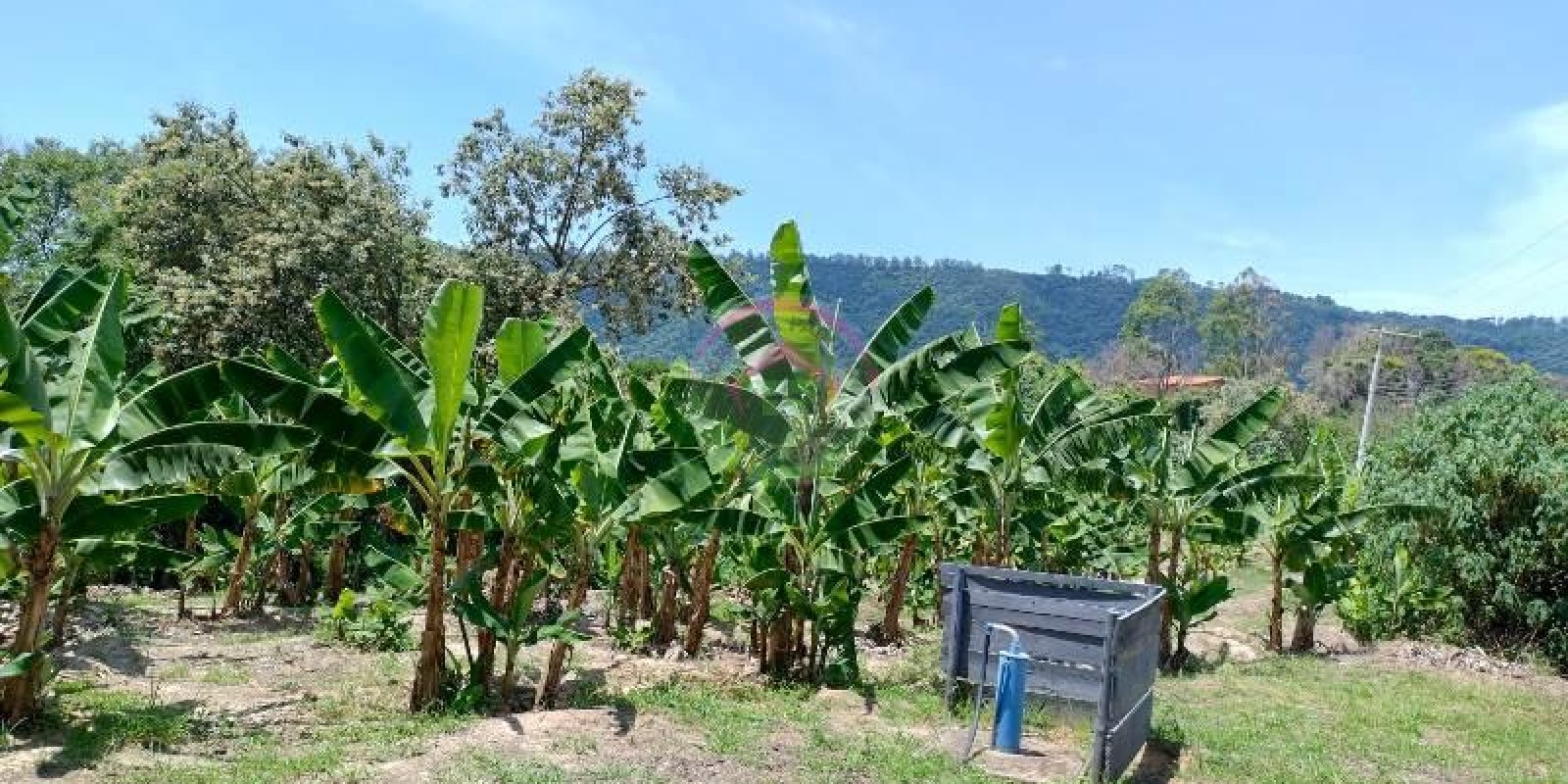 Chácara a Venda em Bofete  SP - Foto 7 de 15
