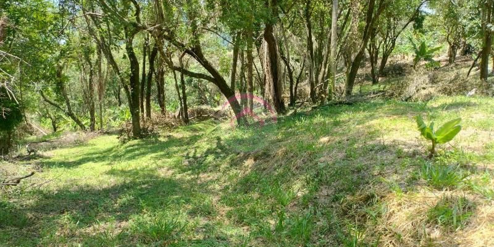 Chácara a Venda em Bofete  SP - Foto 9 de 15